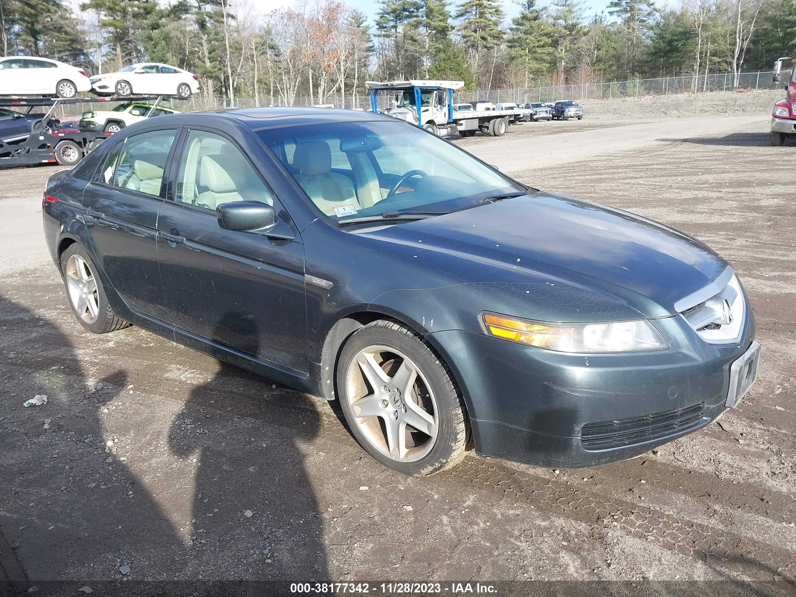 ACURA TL 2005 19uua66215a003406