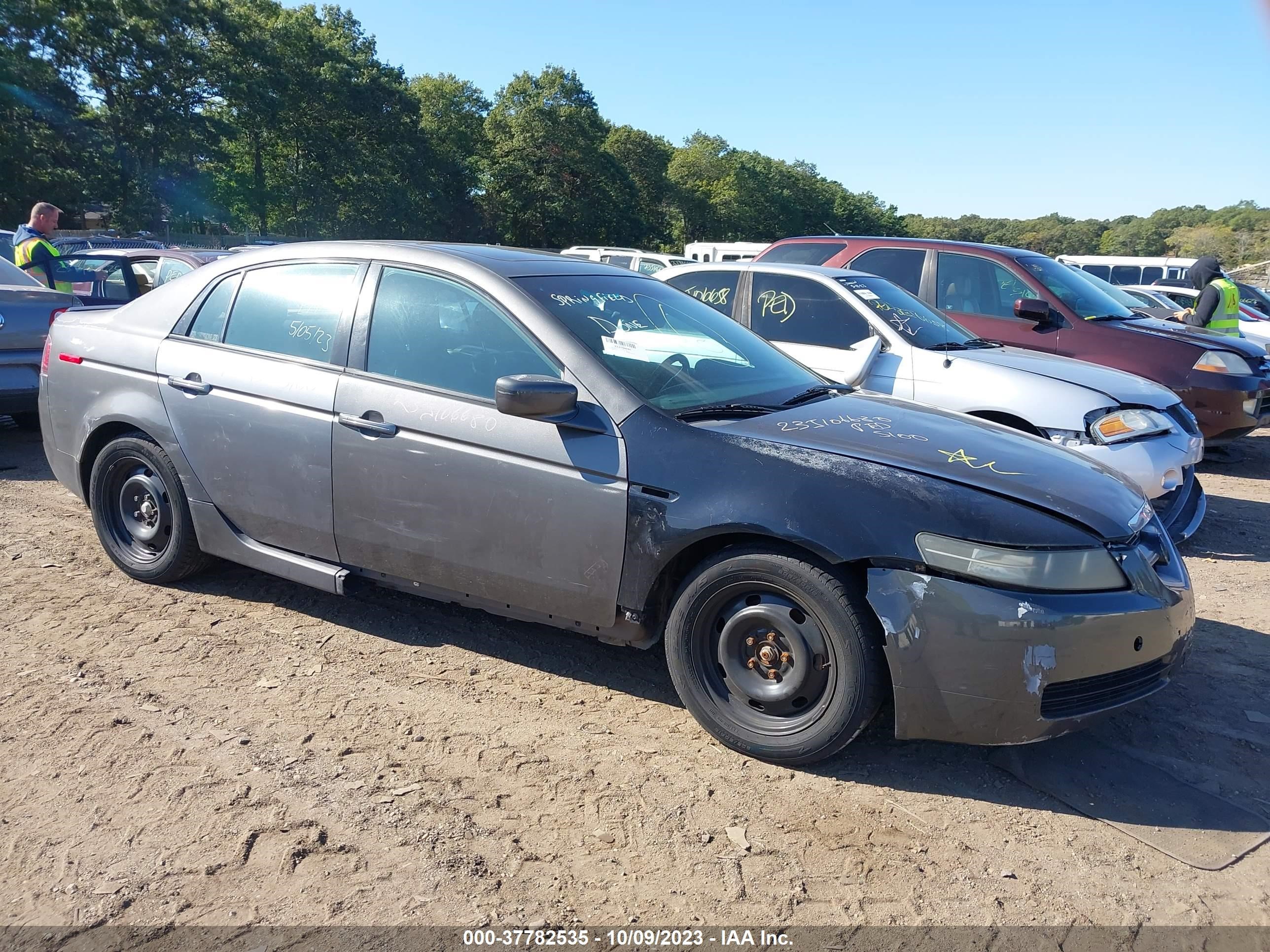 ACURA TL 2005 19uua66215a046109