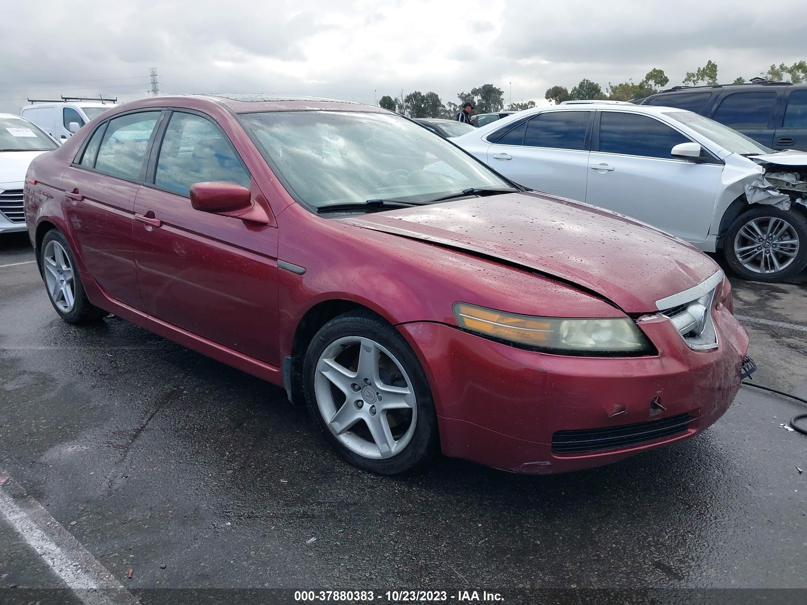 ACURA TL 2005 19uua66215a055439