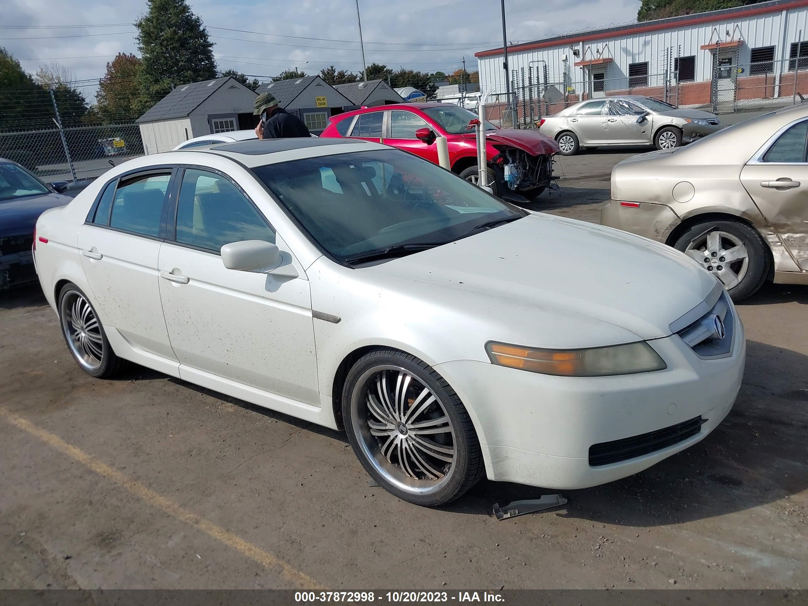 ACURA TL 2006 19uua66216a001124