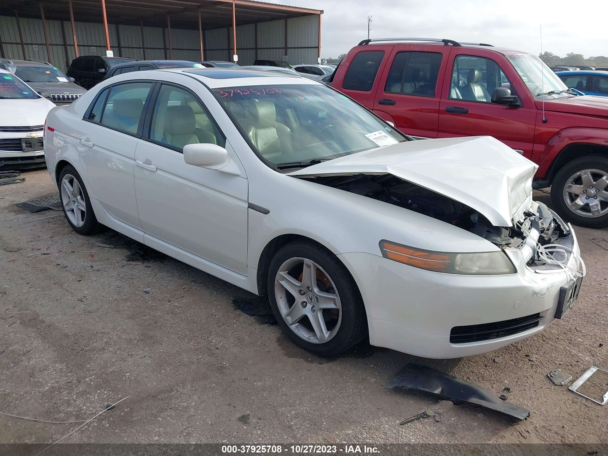 ACURA TL 2006 19uua66216a008588