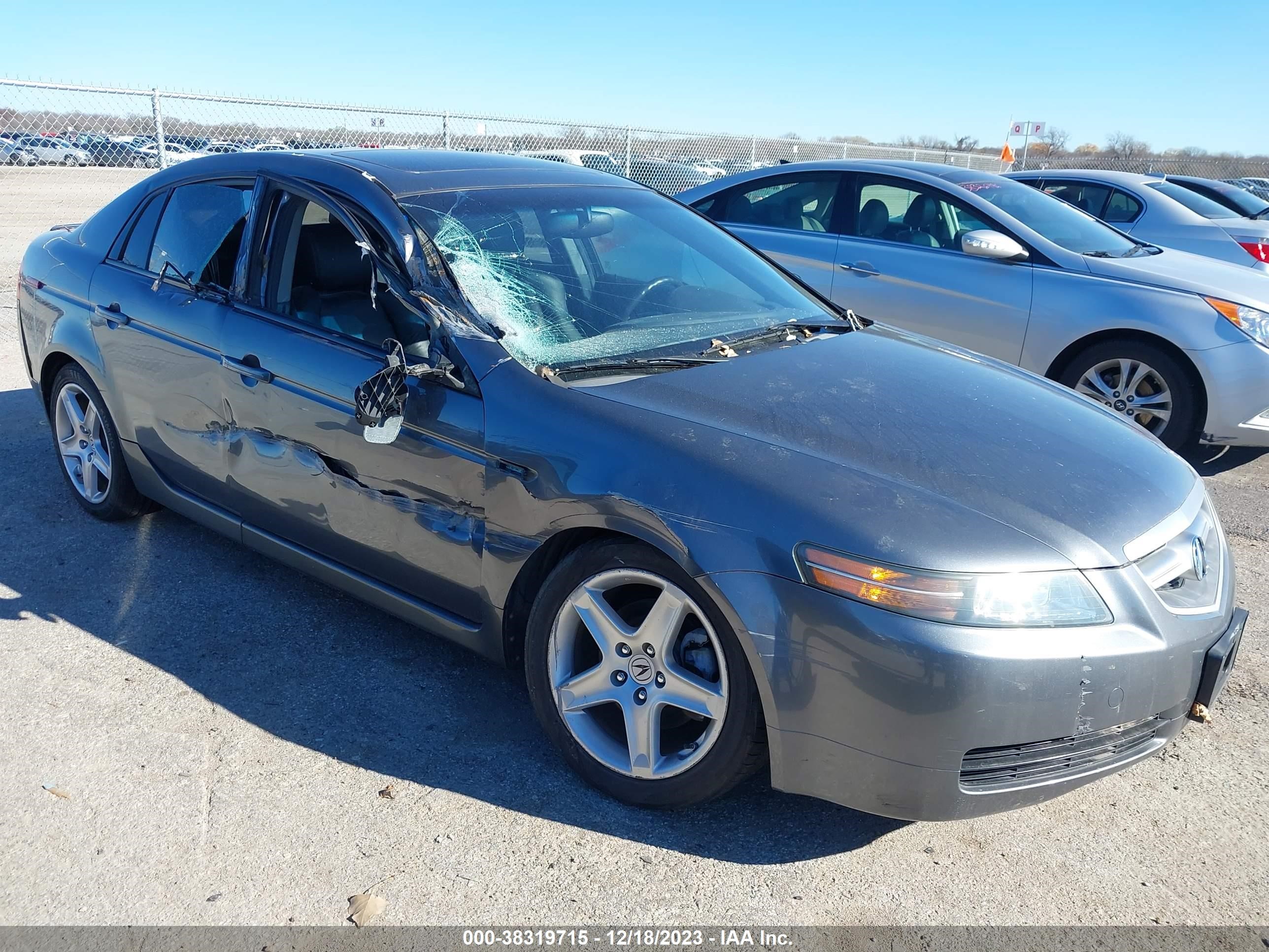 ACURA TL 2006 19uua66216a021082