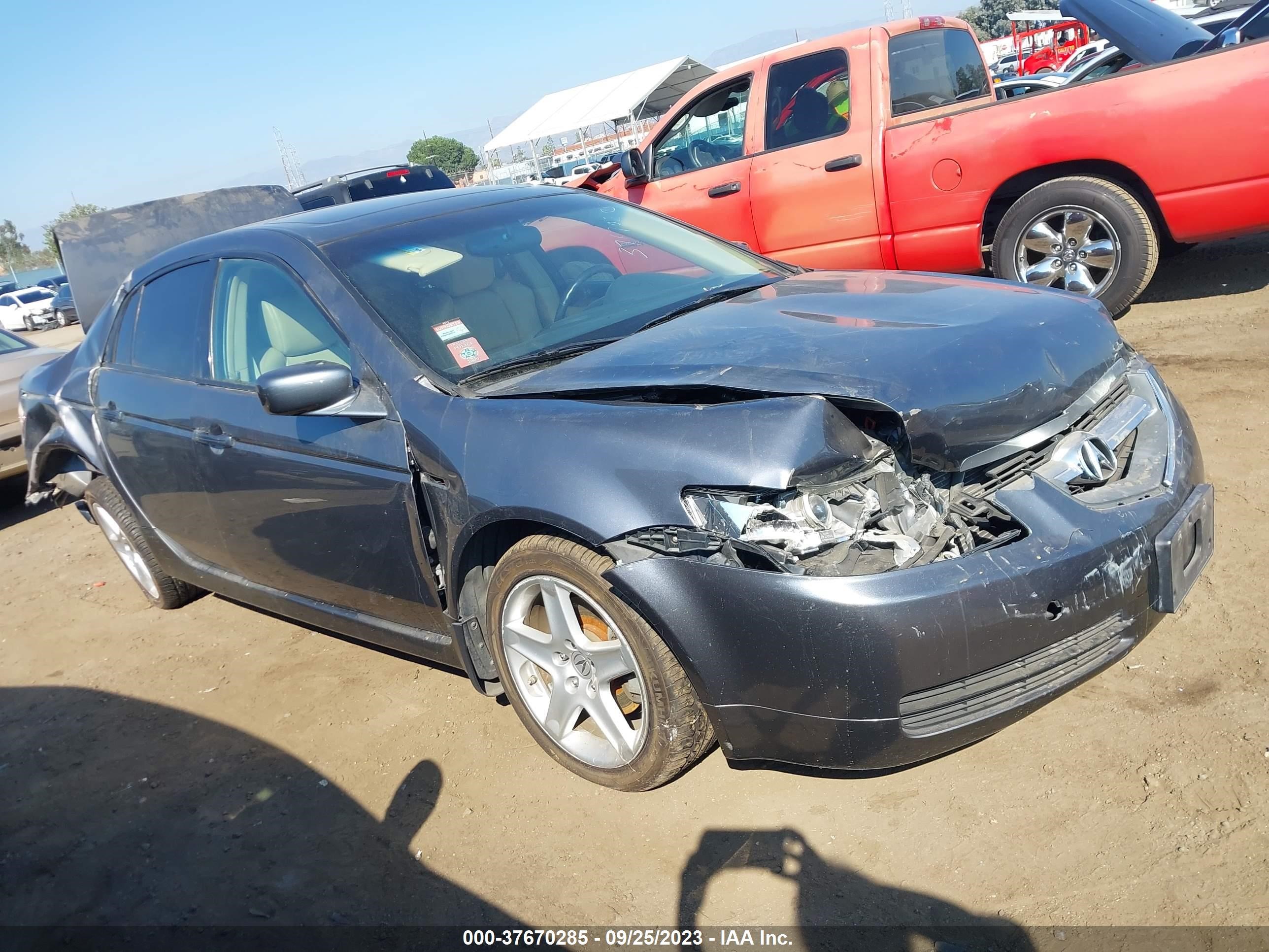 ACURA TL 2006 19uua66216a024385