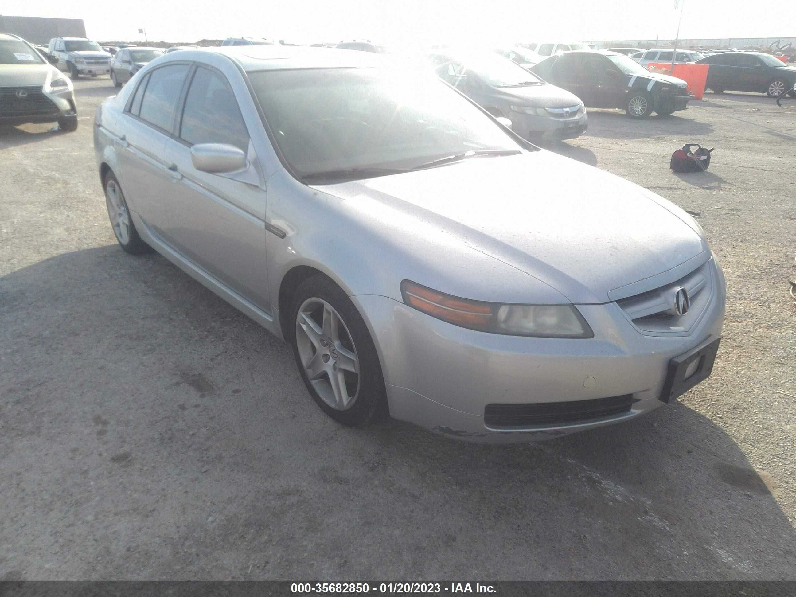 ACURA TL 2006 19uua66216a028341