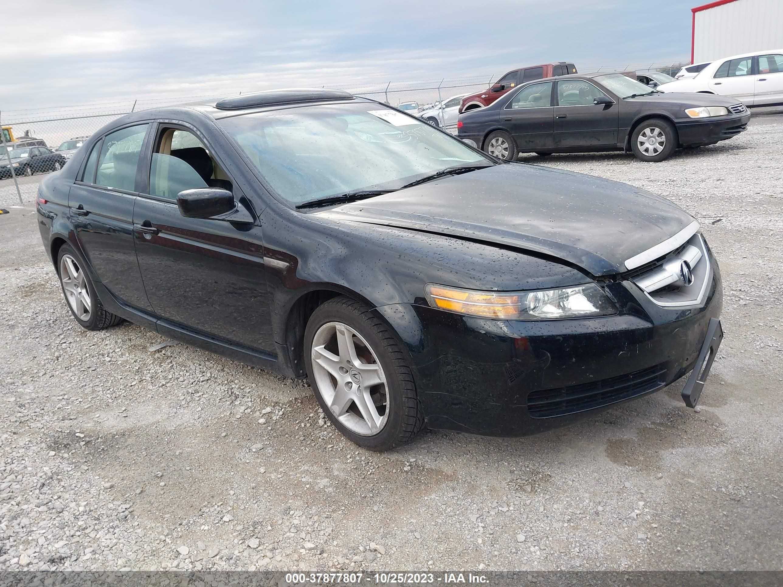 ACURA TL 2006 19uua66216a030008