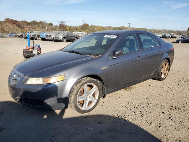 ACURA 3.2TL 2006 19uua66216a038187