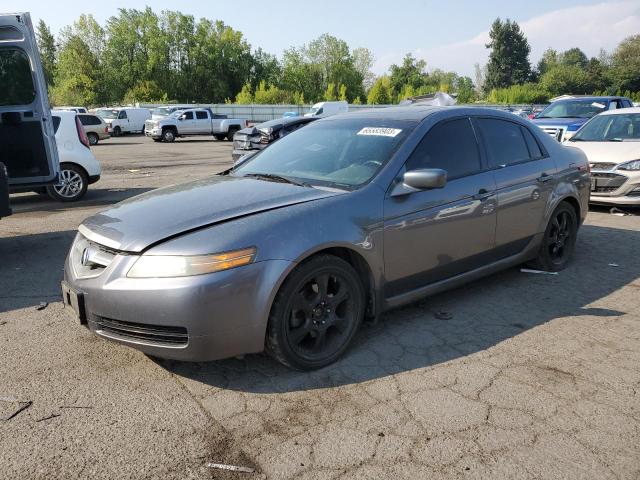 ACURA 3.2TL 2006 19uua66216a039789