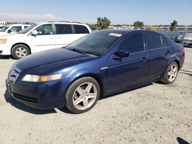 ACURA TL 2006 19uua66216a042028