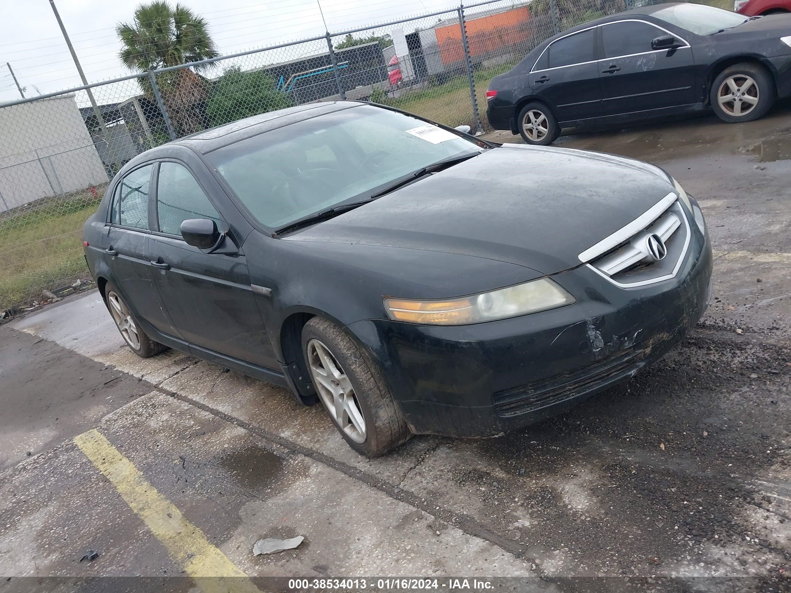 ACURA TL 2006 19uua66216a043258