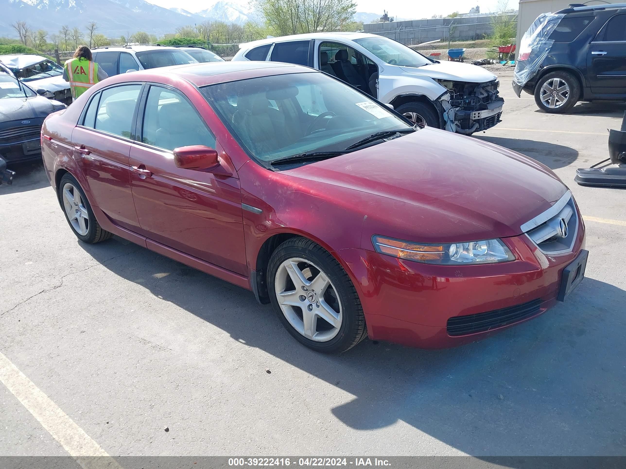 ACURA TL 2006 19uua66216a054339