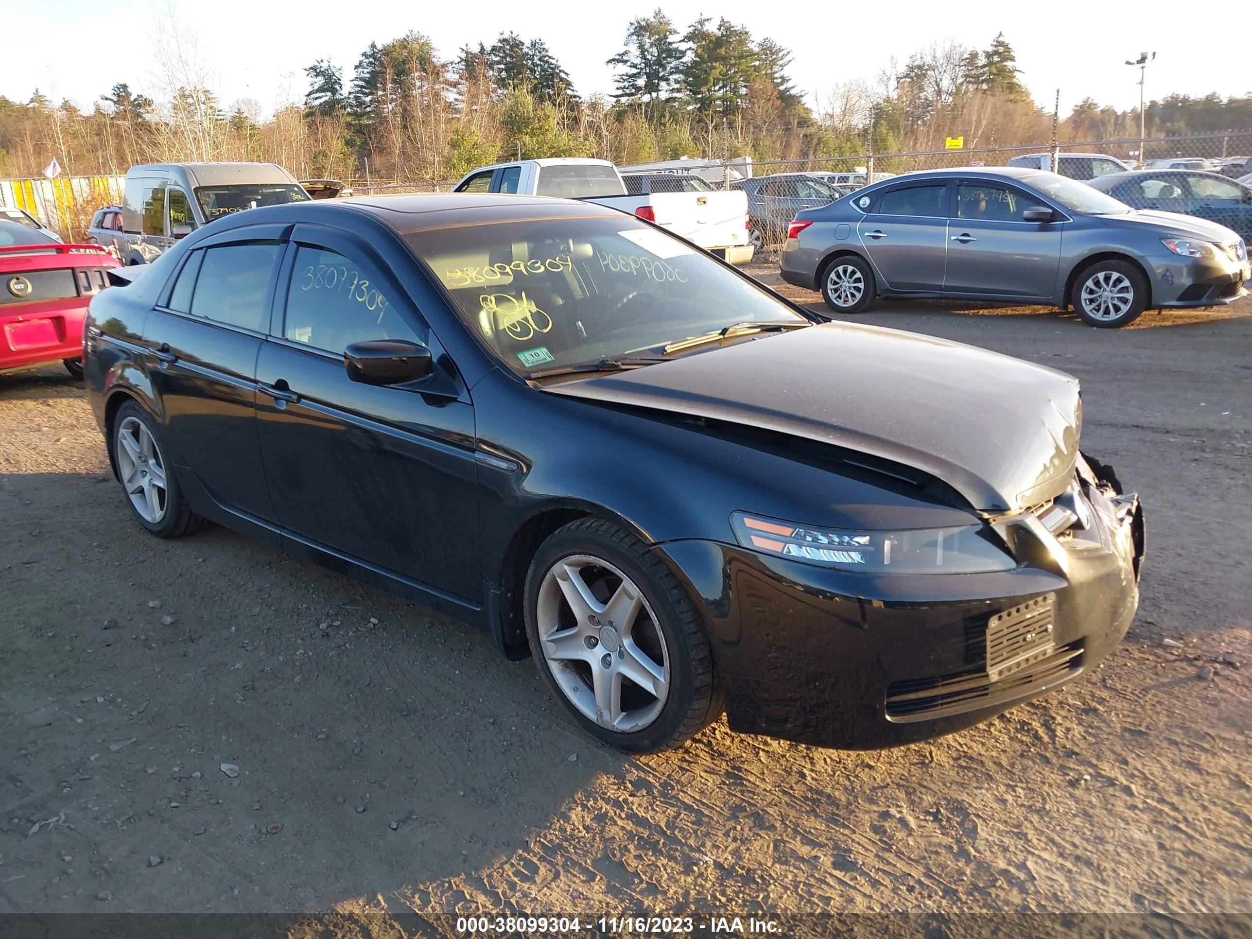 ACURA TL 2006 19uua66216a059203