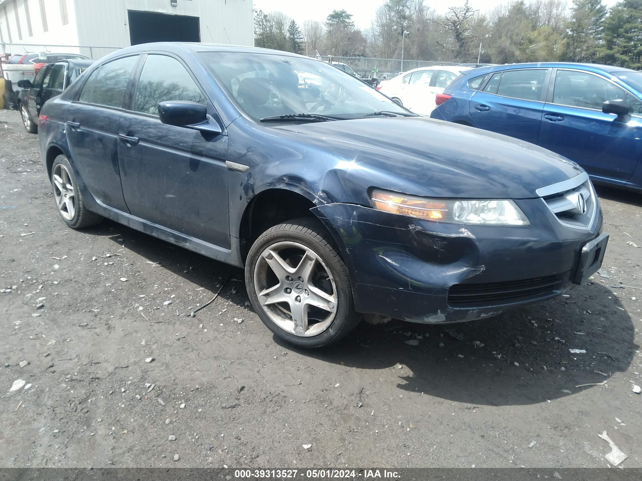 ACURA TL 2006 19uua66216a060836