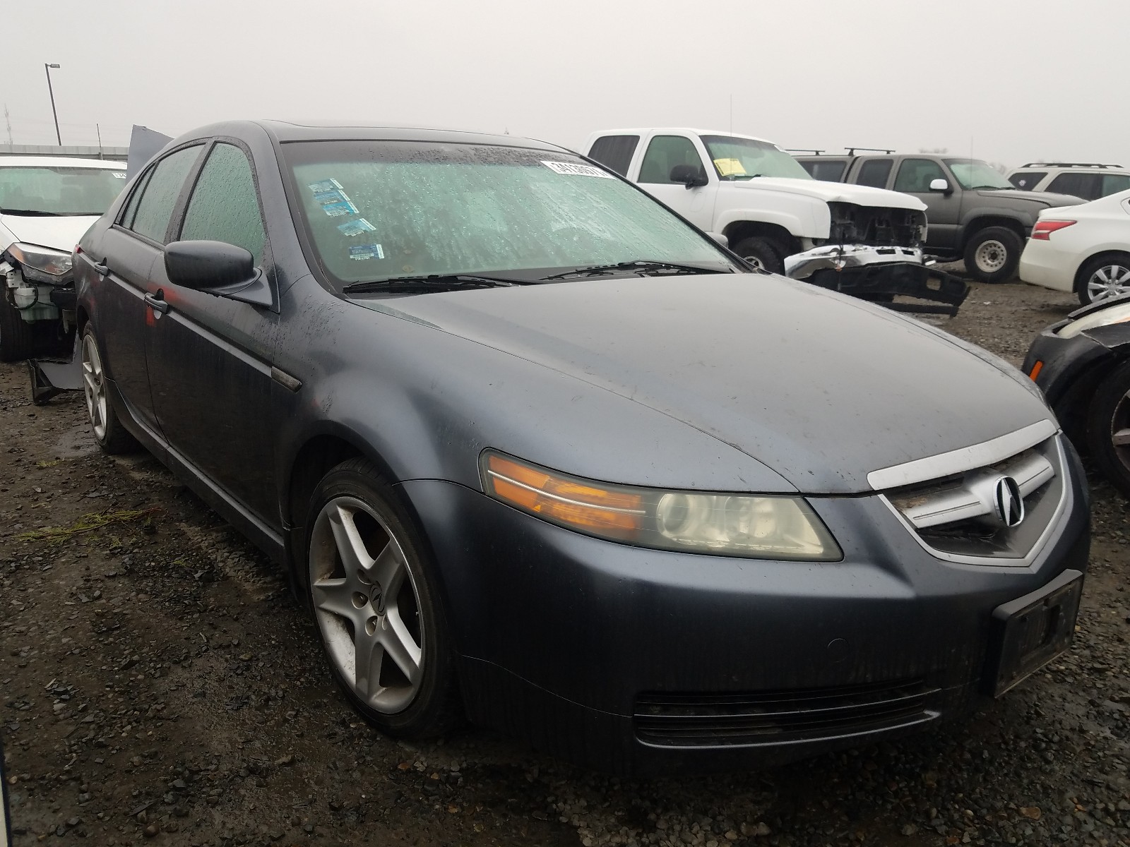 ACURA 3.2TL 2006 19uua66216a067401