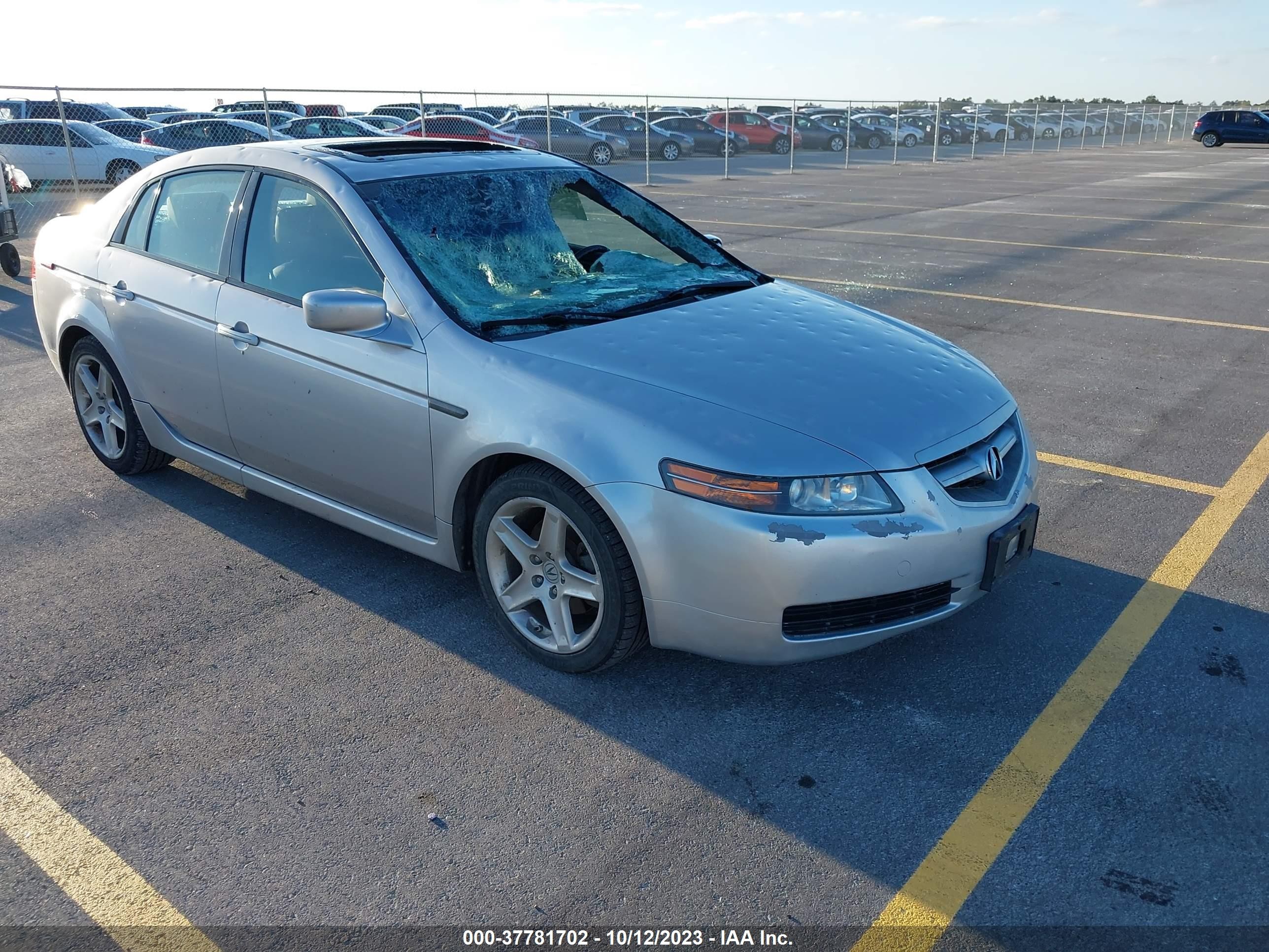 ACURA TL 2006 19uua66216a070038