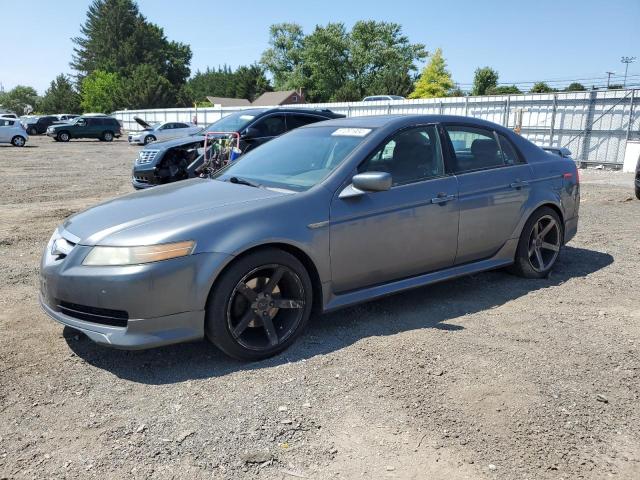 ACURA TL 2006 19uua66216a070167