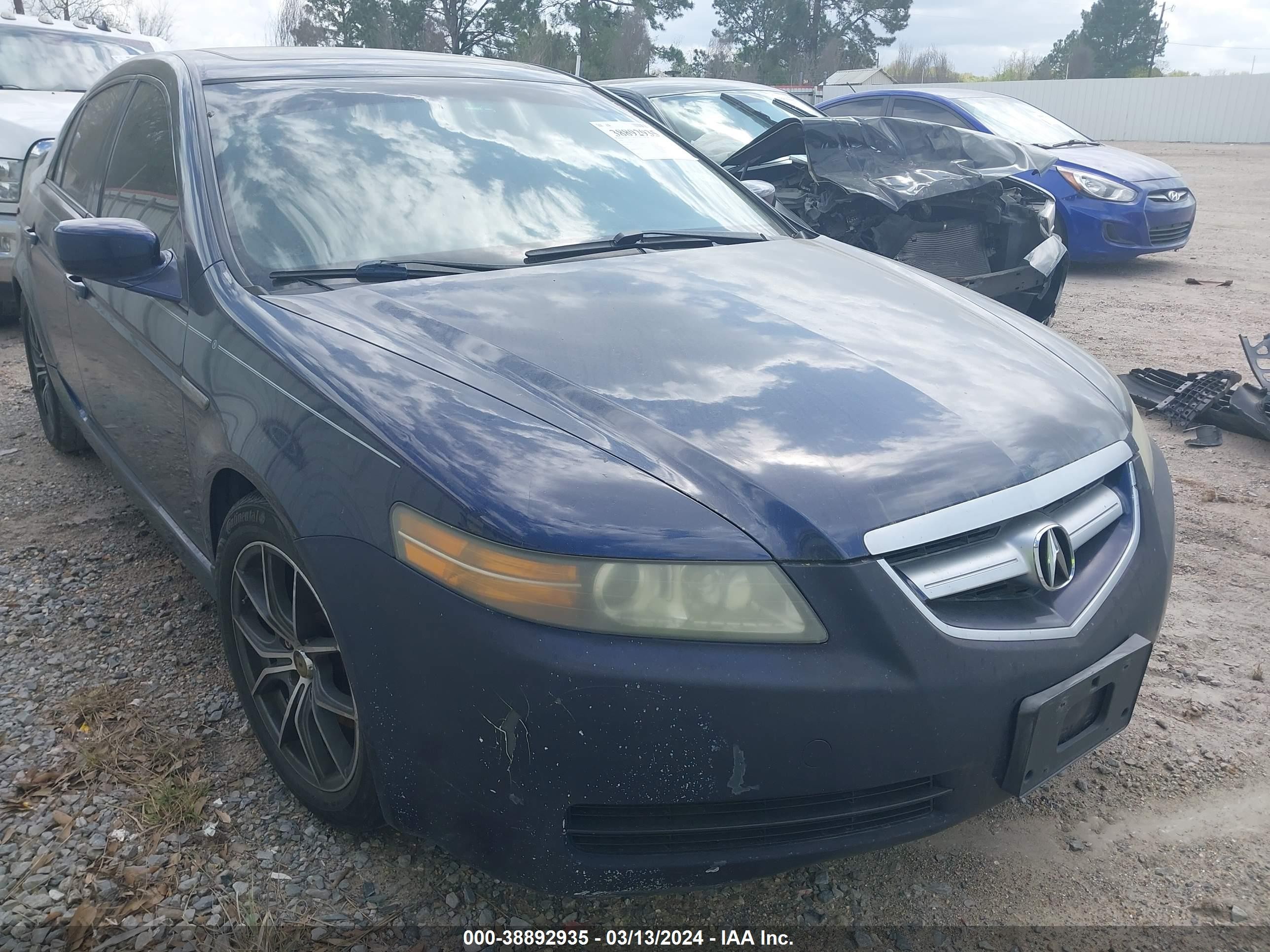 ACURA TL 2006 19uua66216a073795