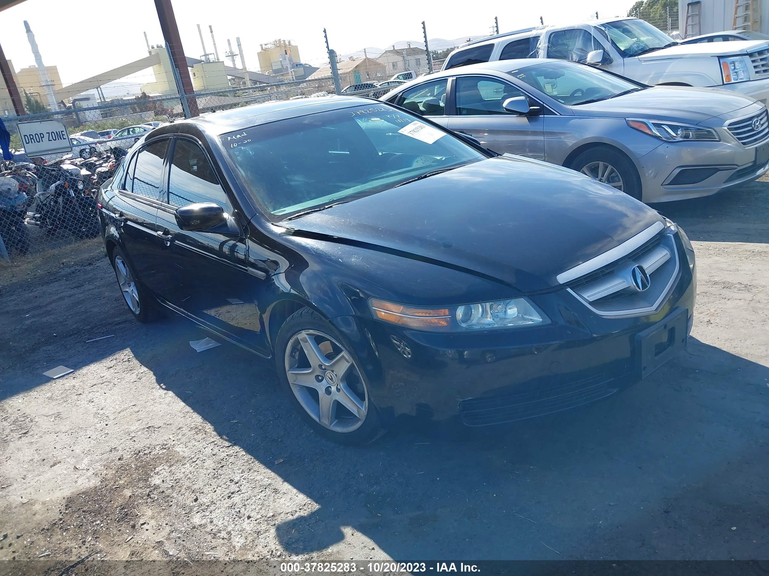 ACURA TL 2006 19uua66216a075143