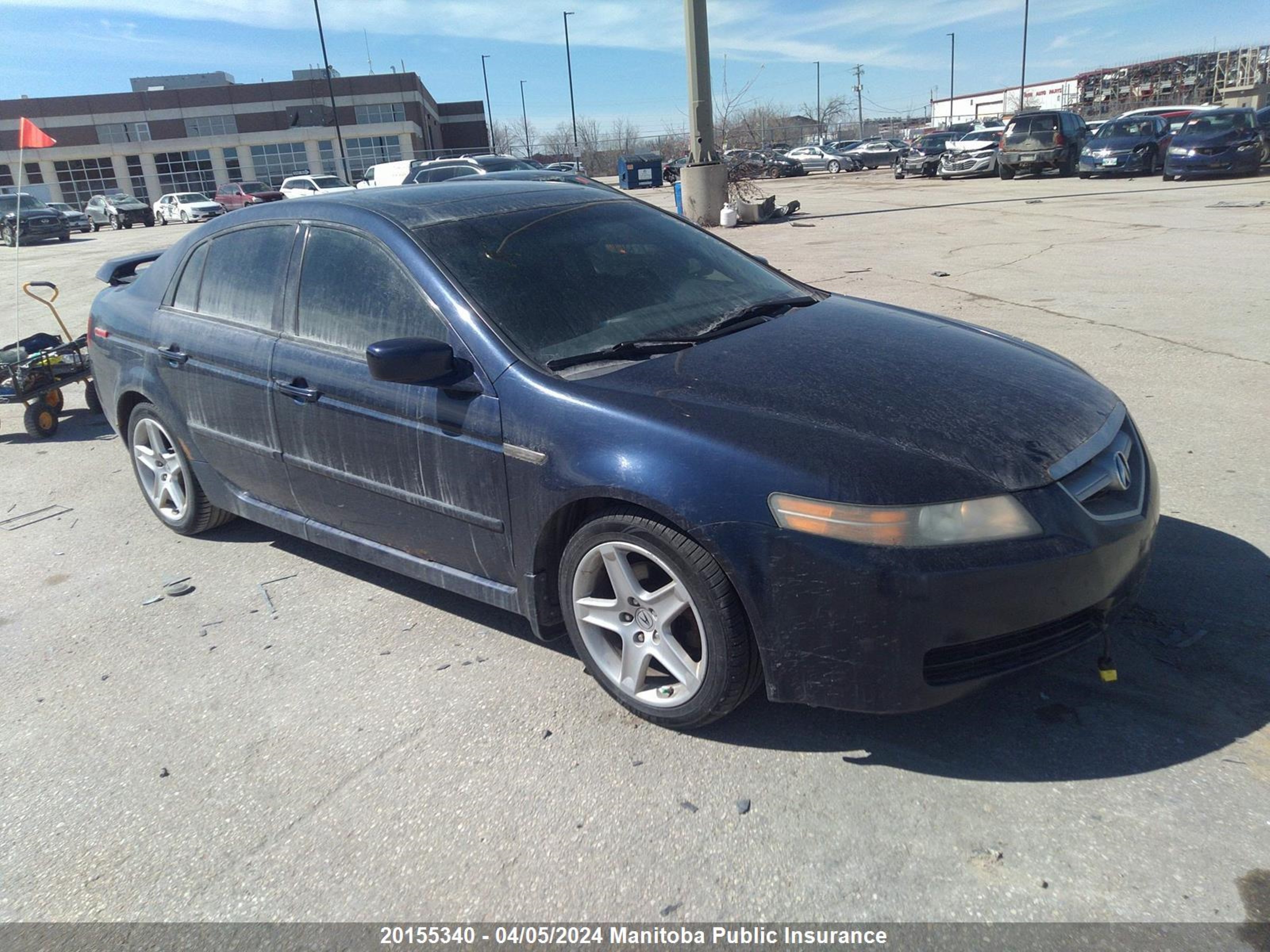 ACURA TL 2006 19uua66216a802264