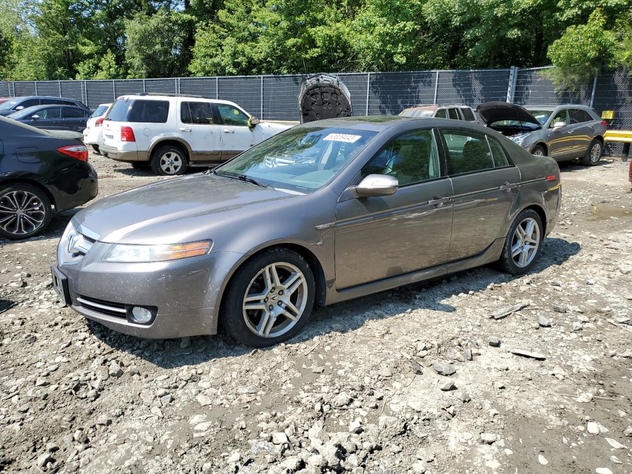 ACURA TL 2008 19uua66218a021196