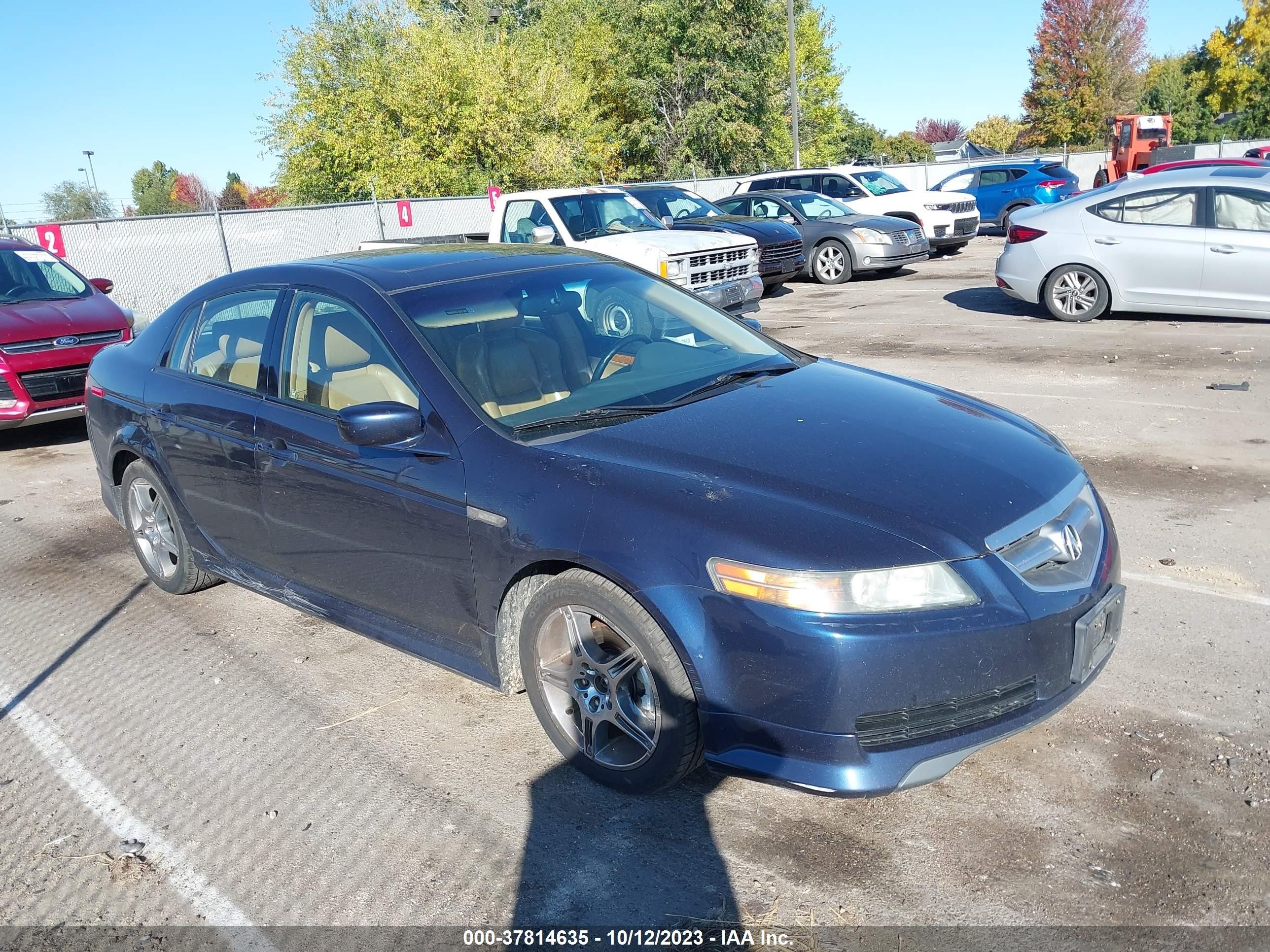 ACURA TL 2004 19uua66224a000268