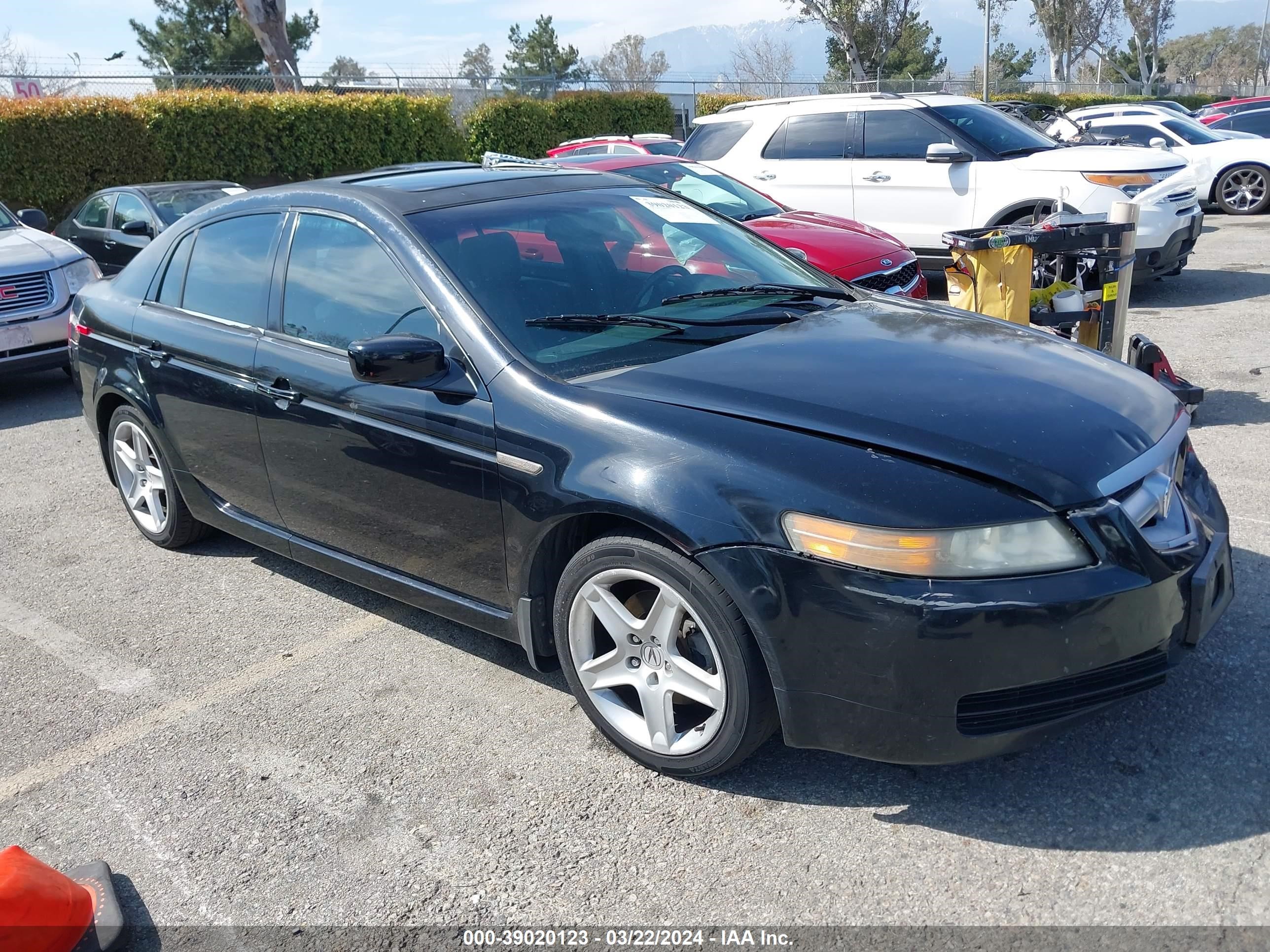 ACURA TL 2005 19uua66225a033515