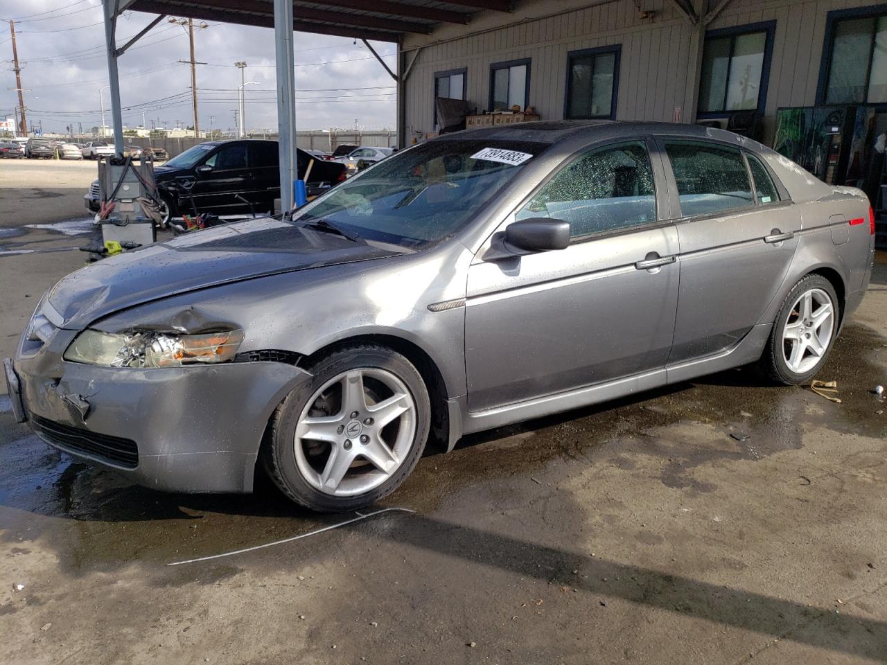 ACURA TL 2006 19uua66226a018174