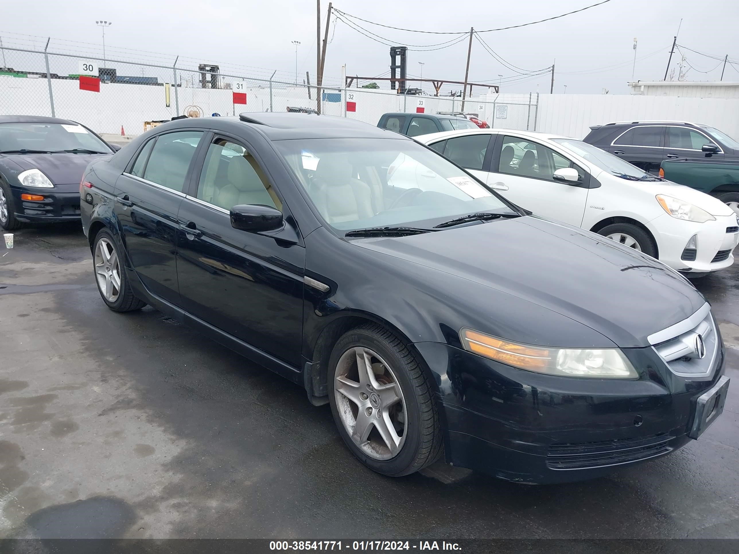 ACURA TL 2006 19uua66226a019096