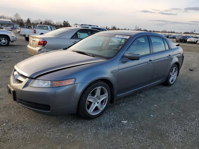 ACURA TL 2006 19uua66226a022189