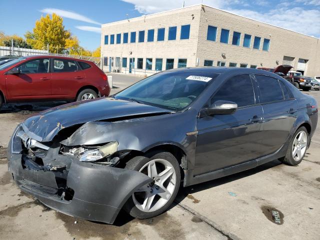 ACURA 3.2TL 2006 19uua66226a027828