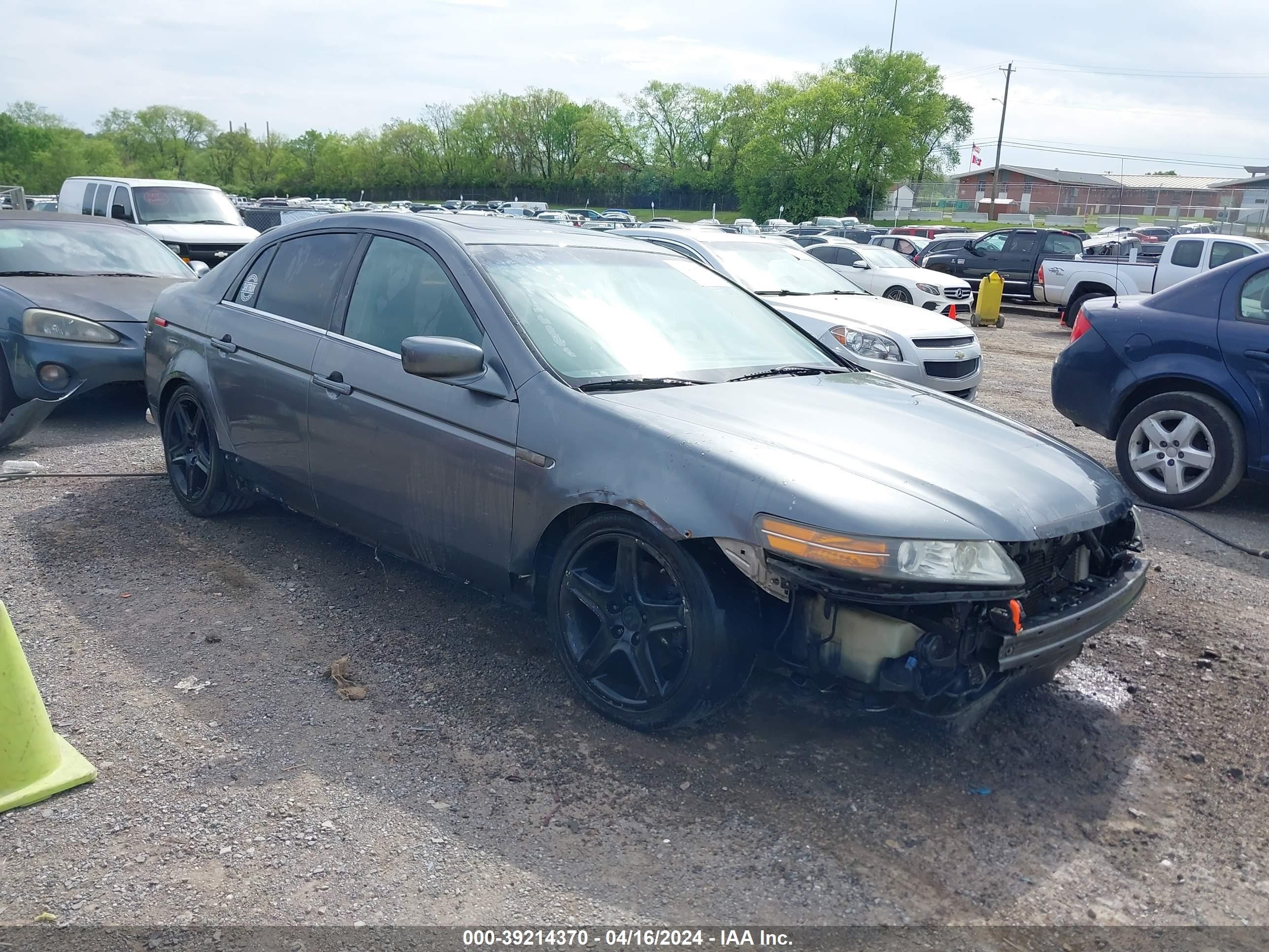 ACURA TL 2006 19uua66226a028705