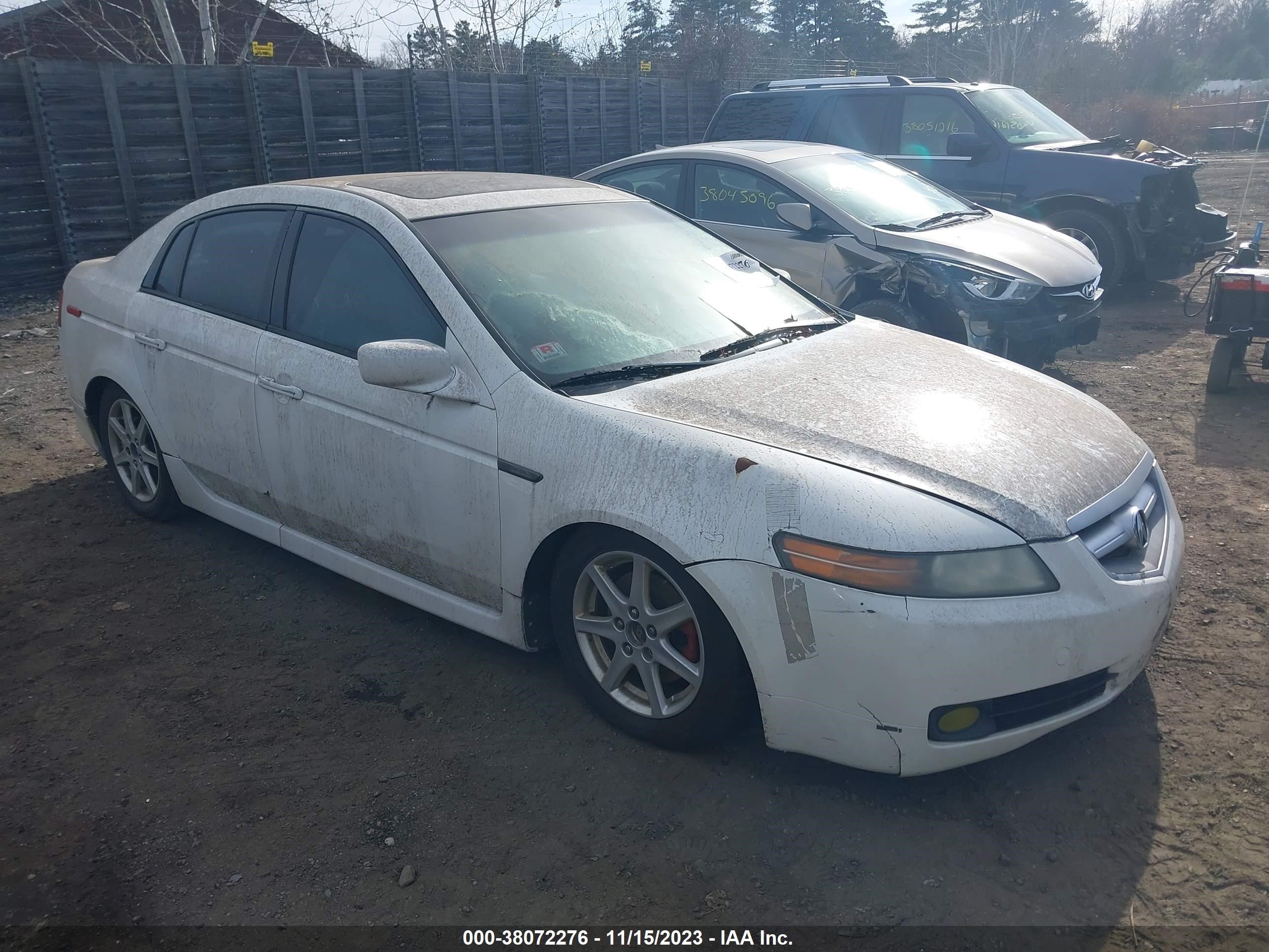 ACURA TL 2006 19uua66226a033533