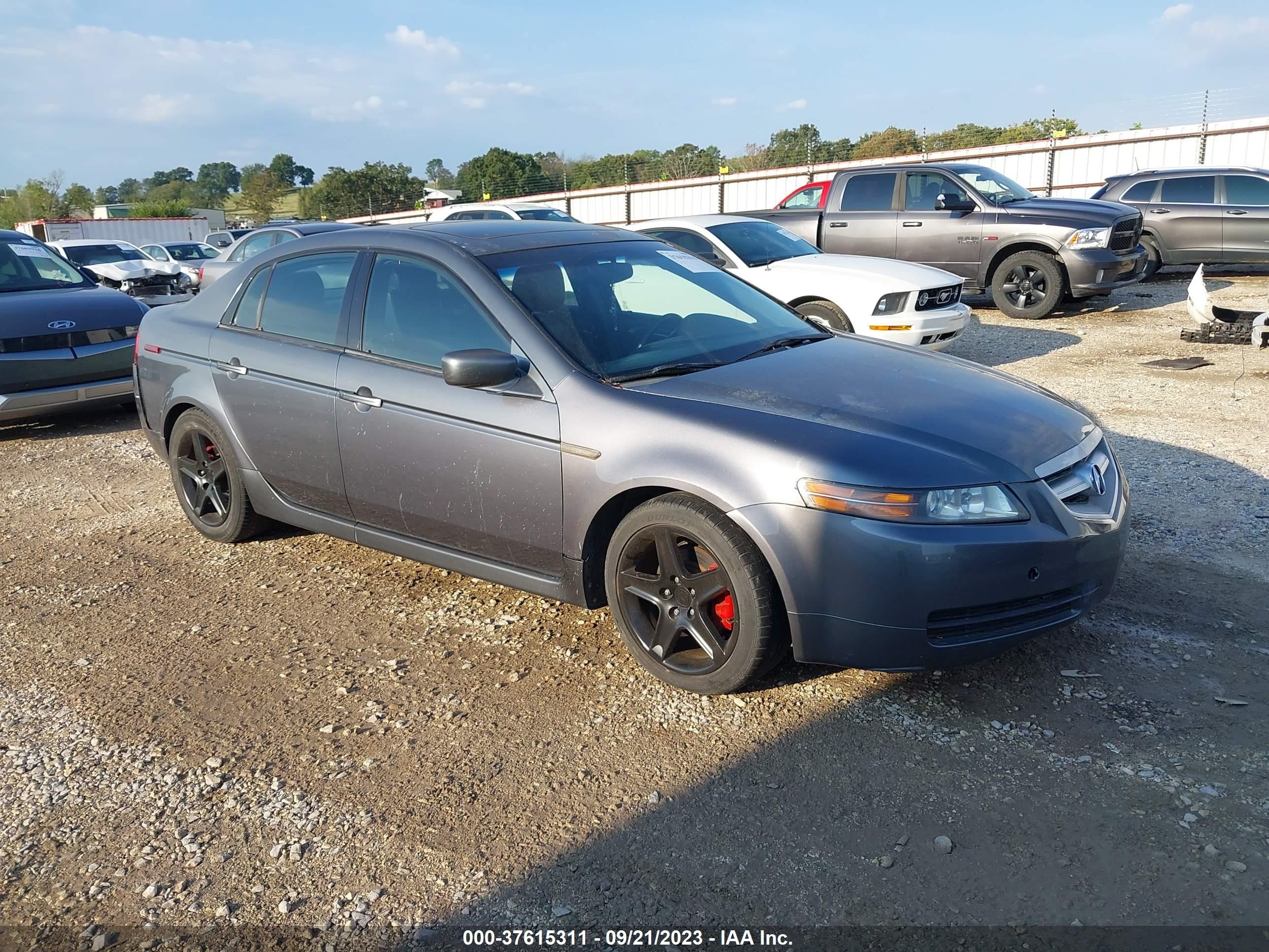 ACURA TL 2006 19uua66226a049246