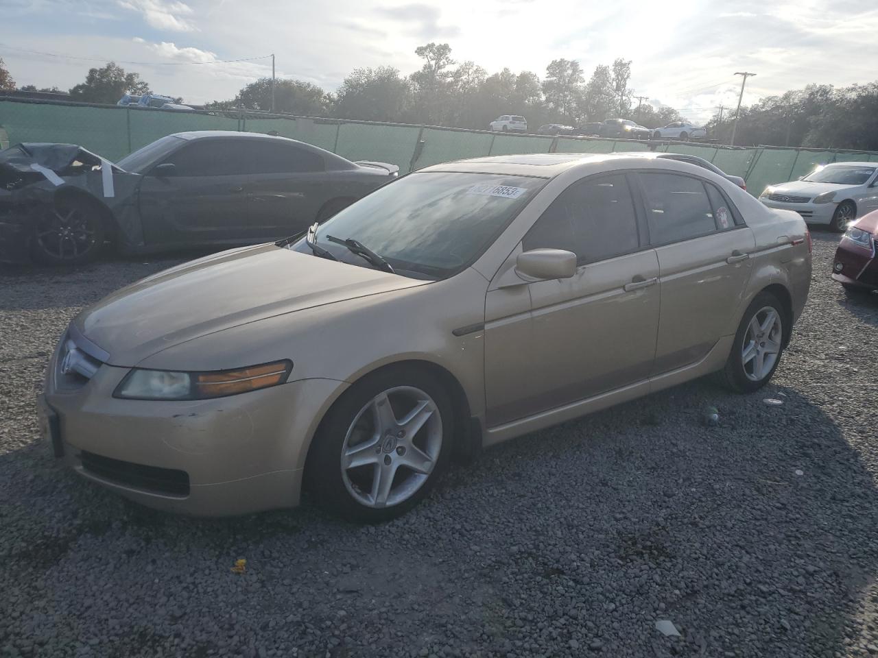 ACURA TL 2006 19uua66226a073644