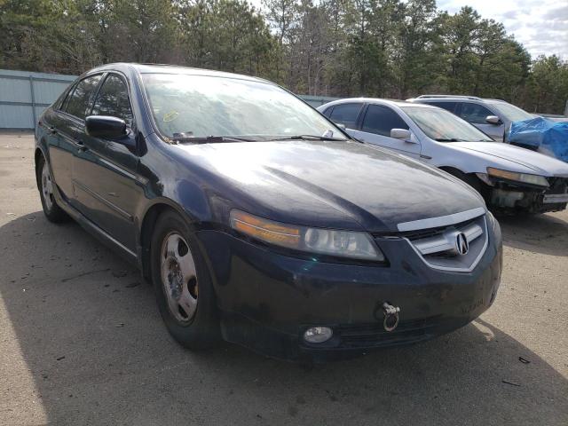 ACURA TL 2004 19uua66234a038110