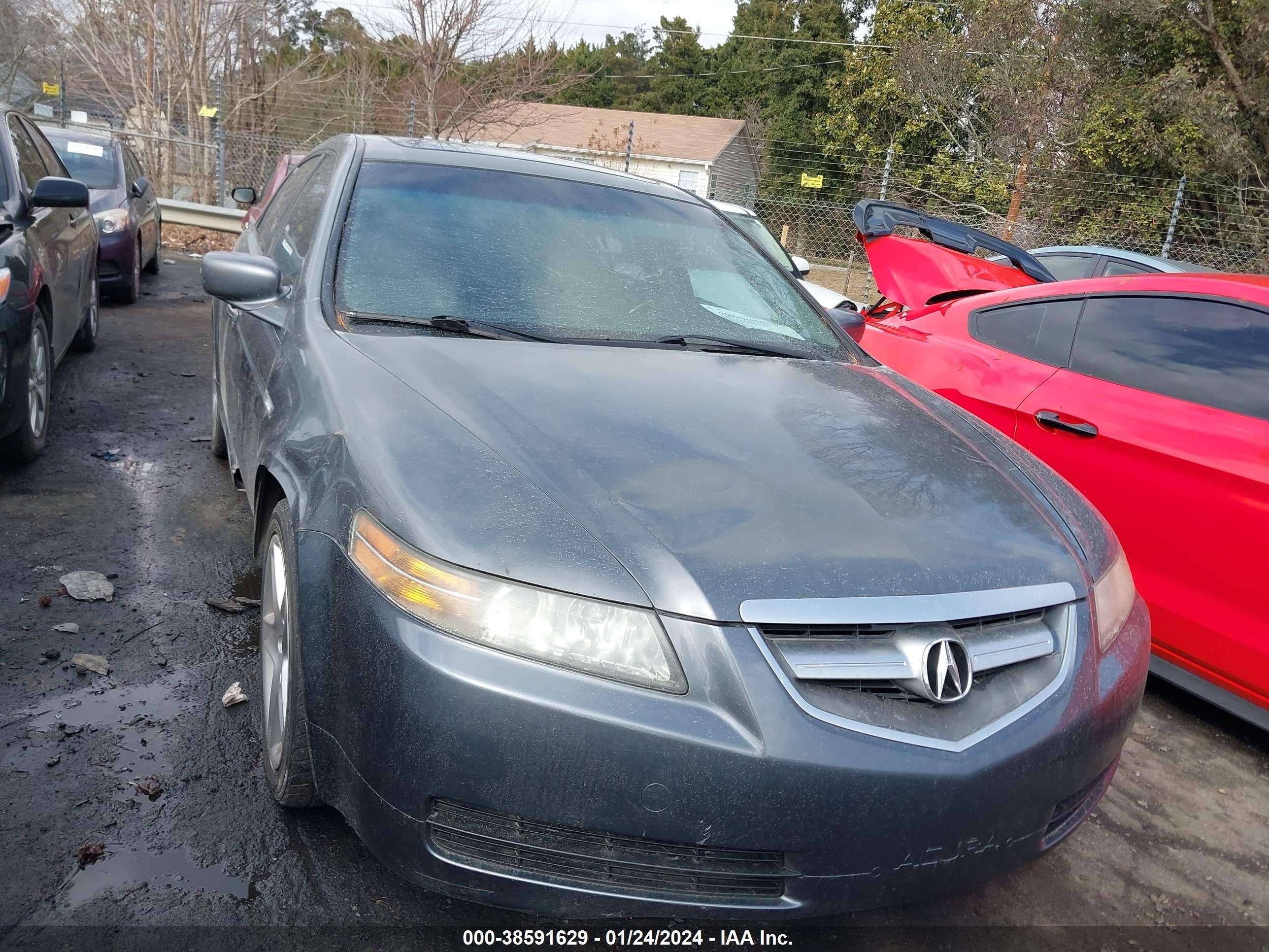 ACURA TL 2004 19uua66234a071544