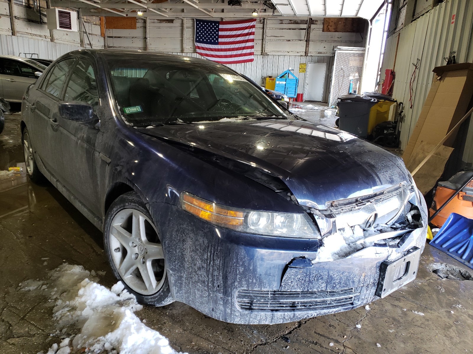 ACURA TL 2005 19uua66235a010163