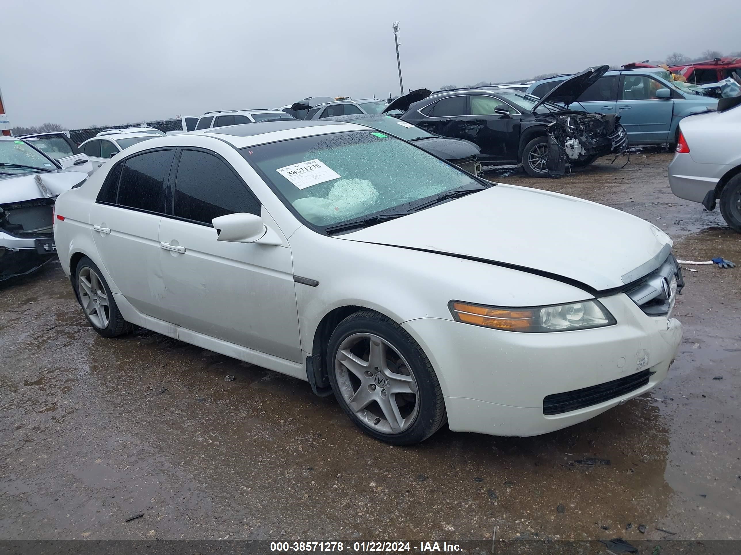 ACURA TL 2005 19uua66235a066698