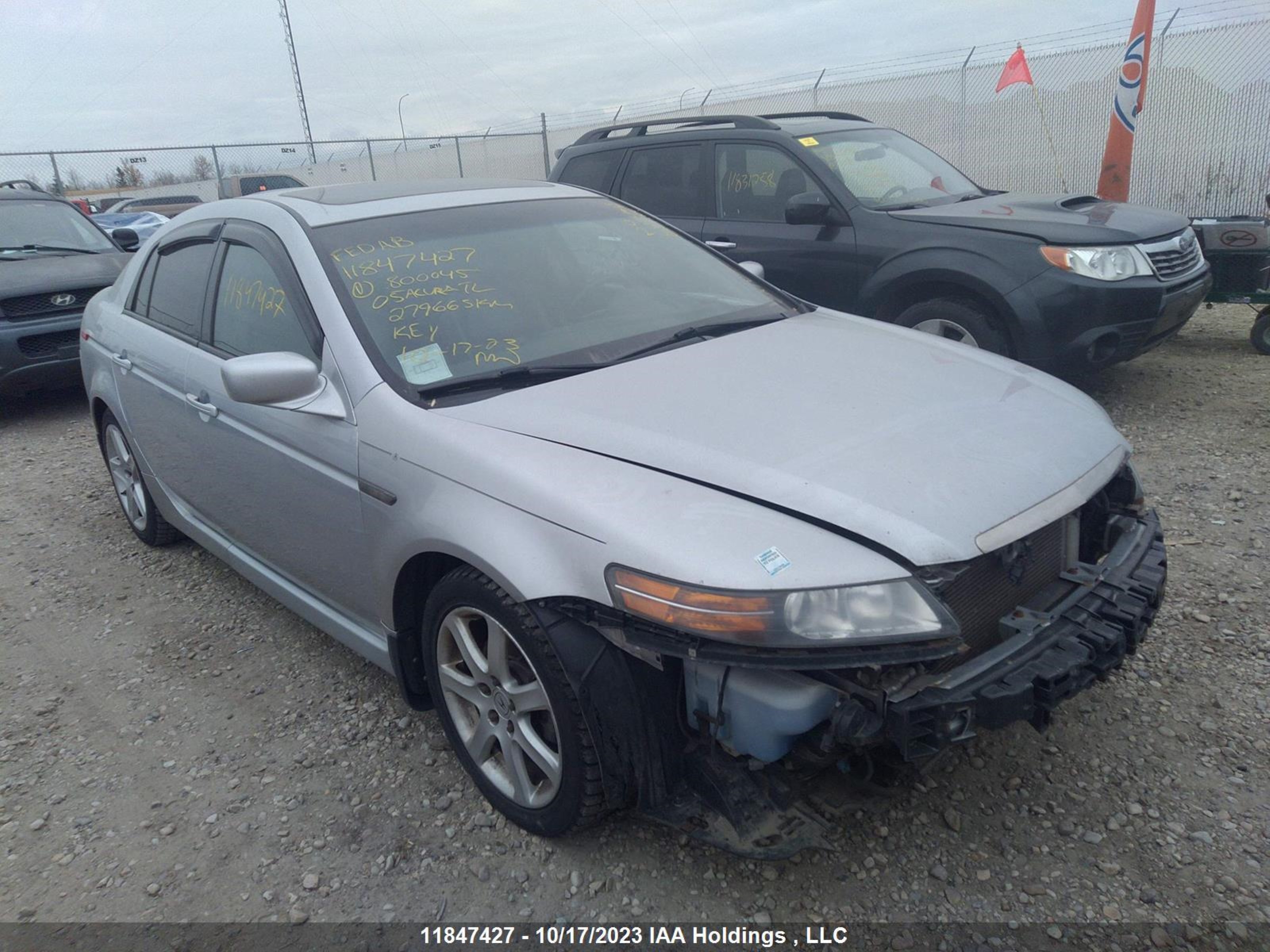 ACURA TL 2005 19uua66235a800045