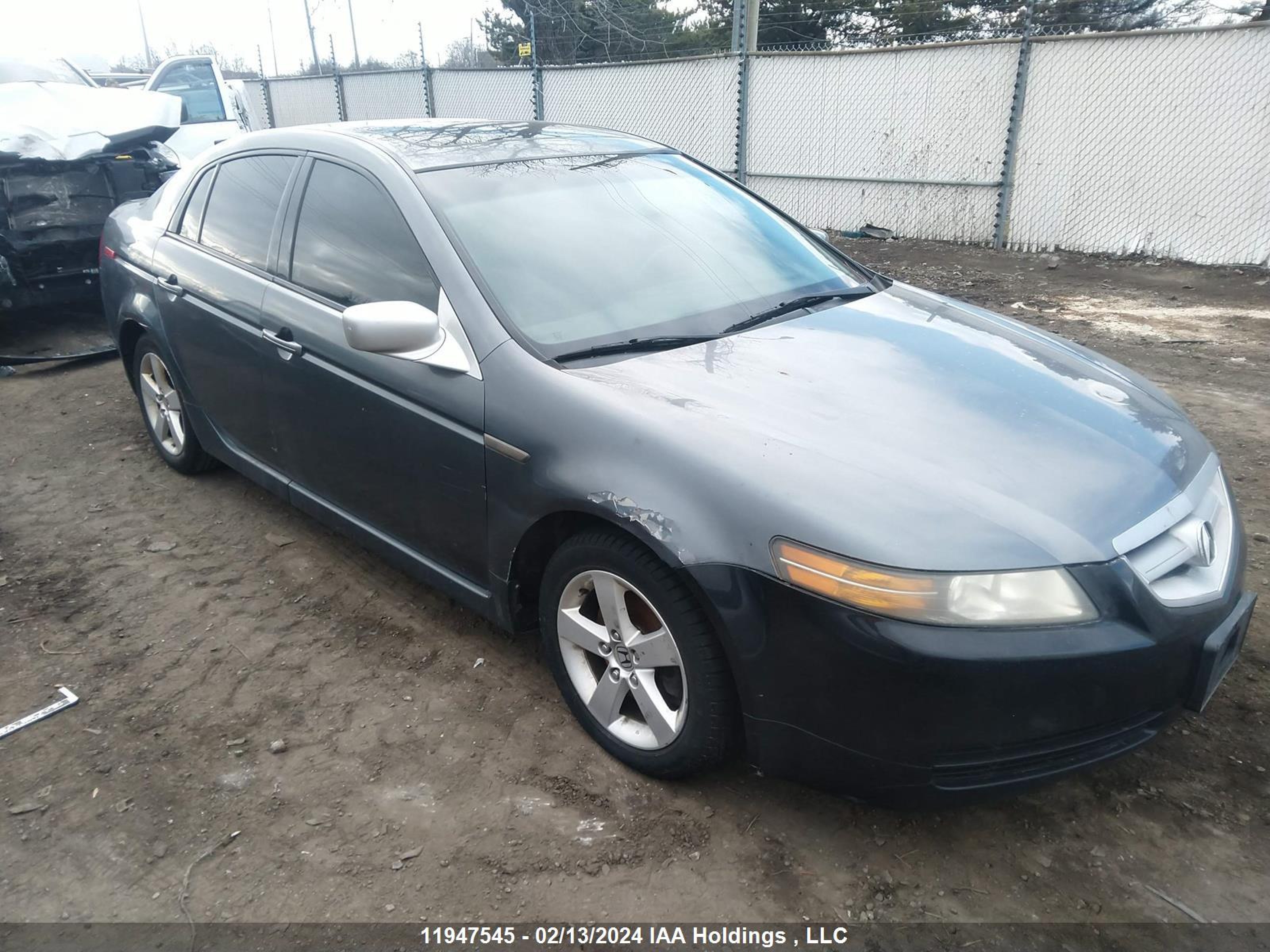 ACURA TL 2005 19uua66235a802006