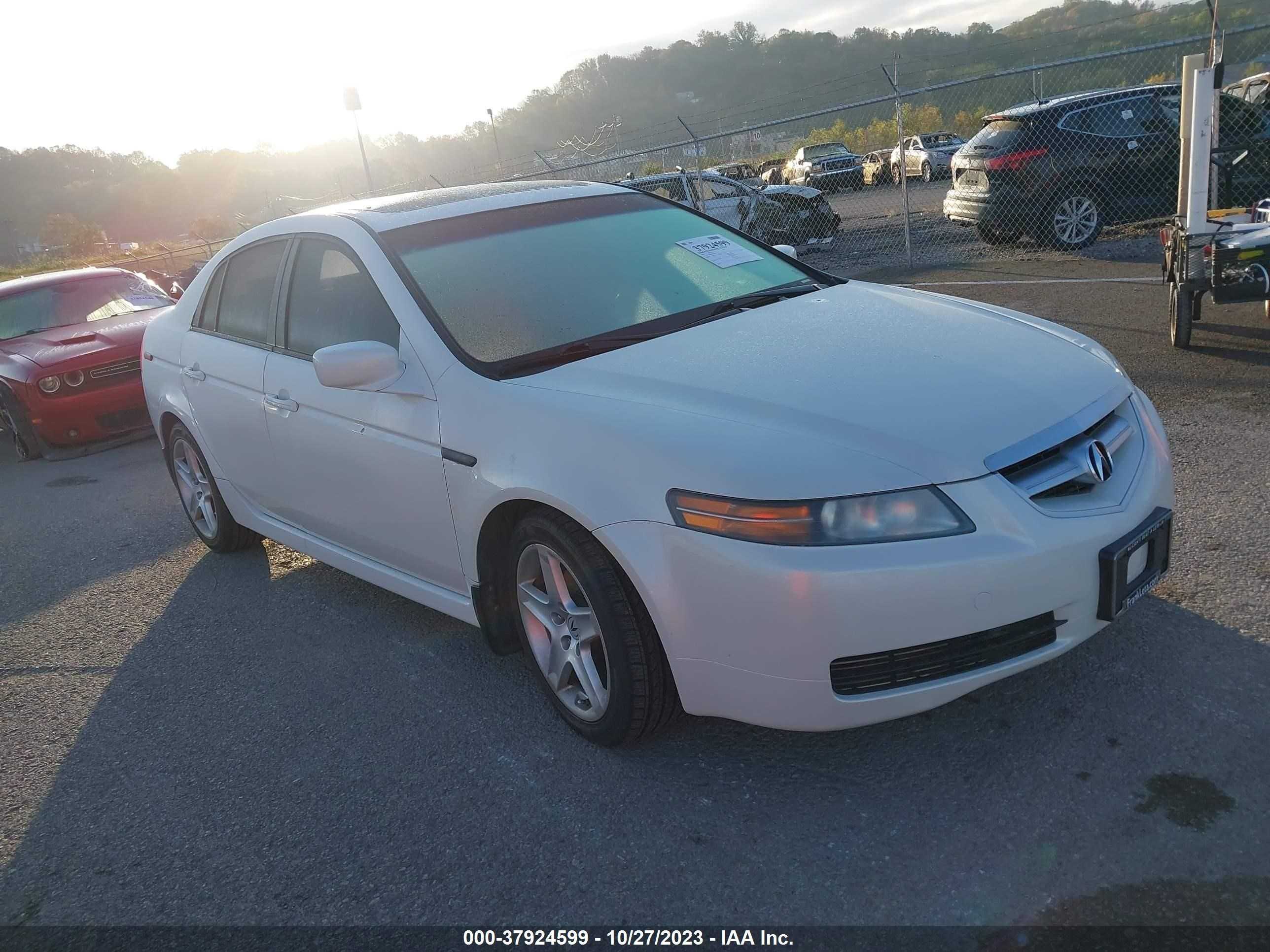 ACURA TL 2006 19uua66236a010942