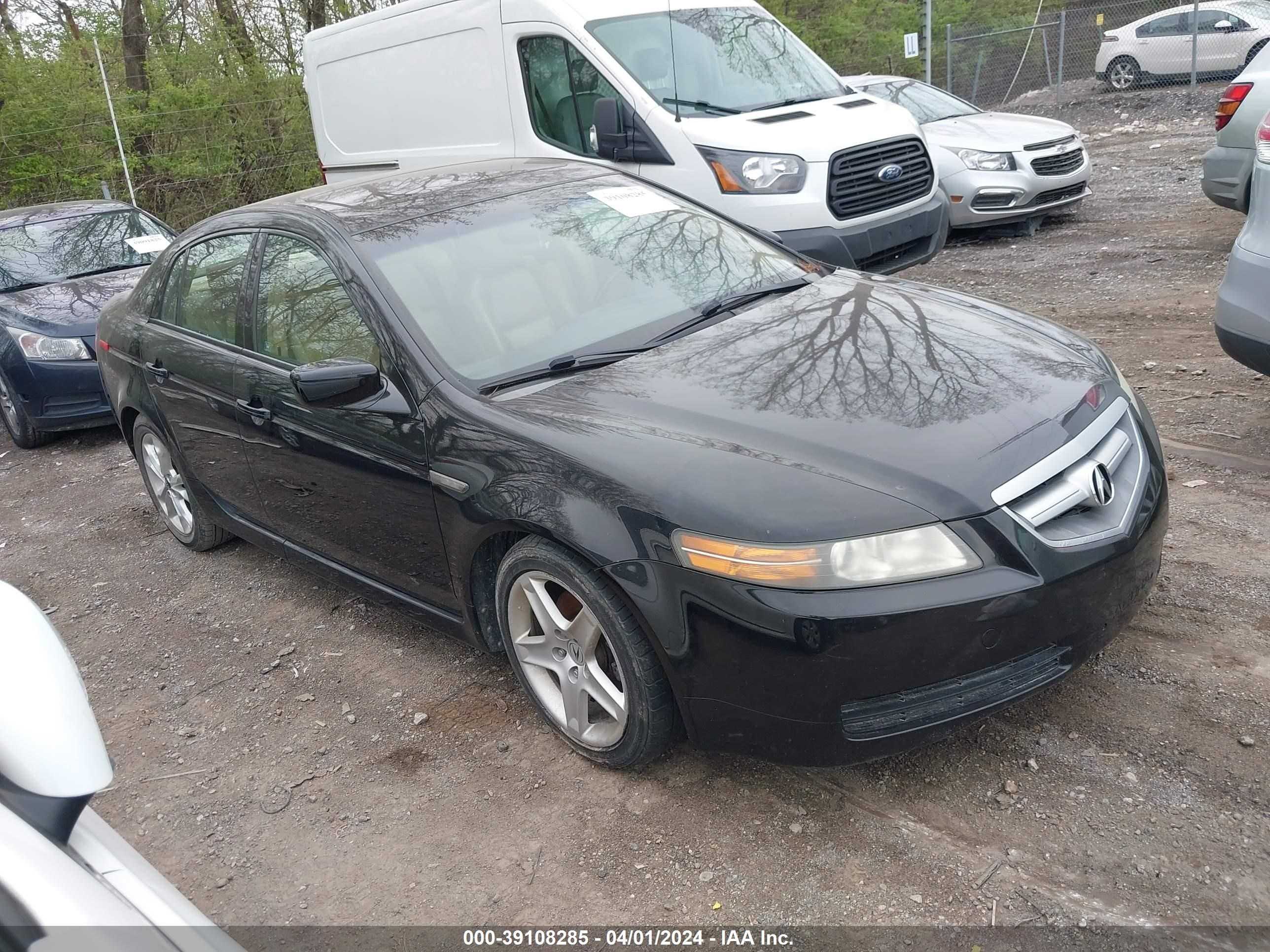 ACURA TL 2006 19uua66236a012500