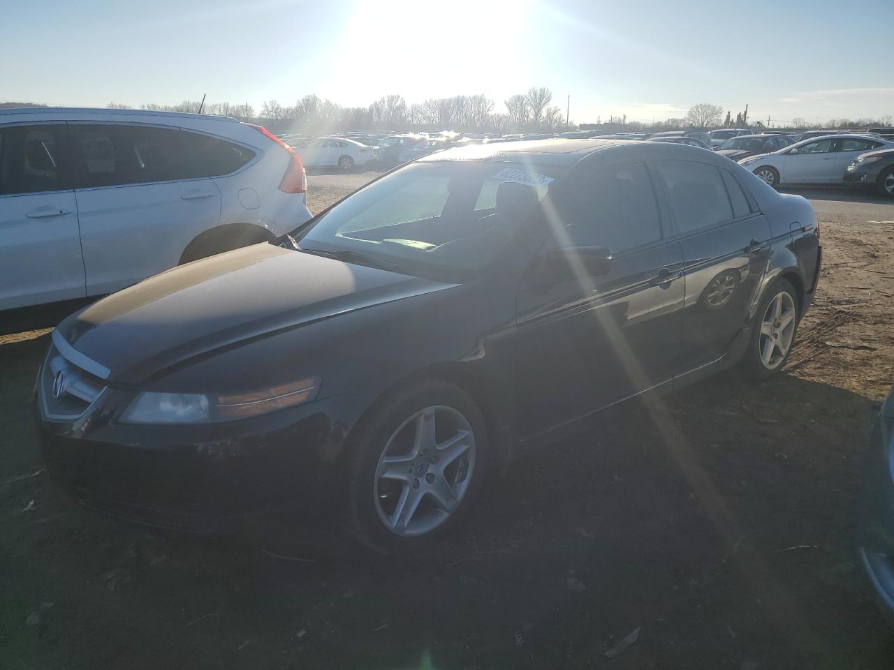 ACURA TL 2006 19uua66236a024596