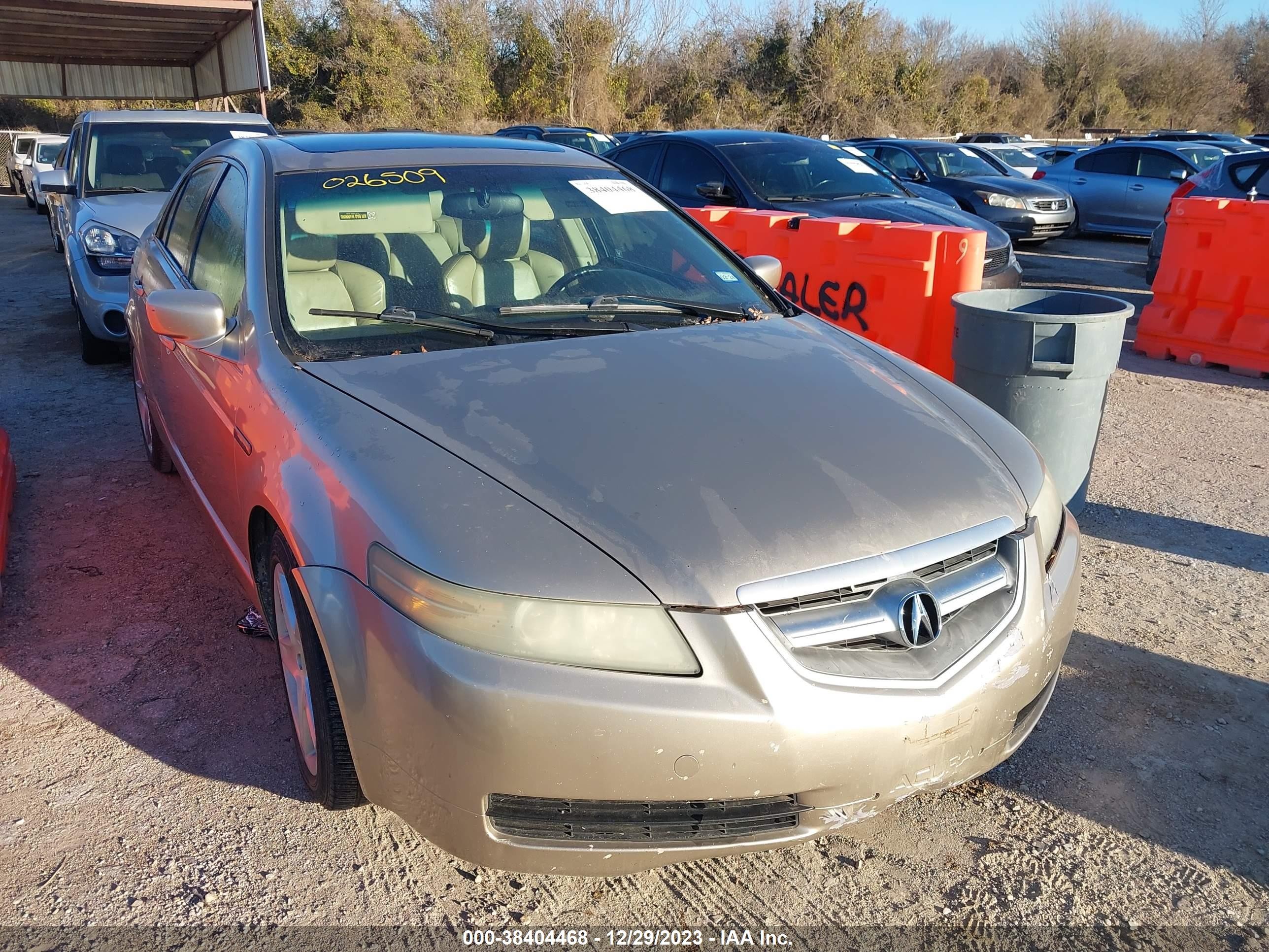 ACURA TL 2006 19uua66236a026509