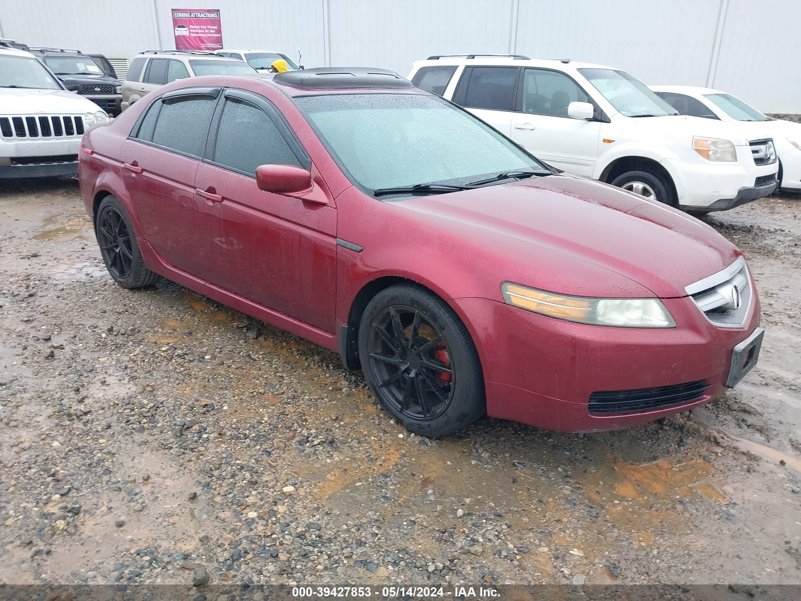 ACURA TL 2006 19uua66236a029801