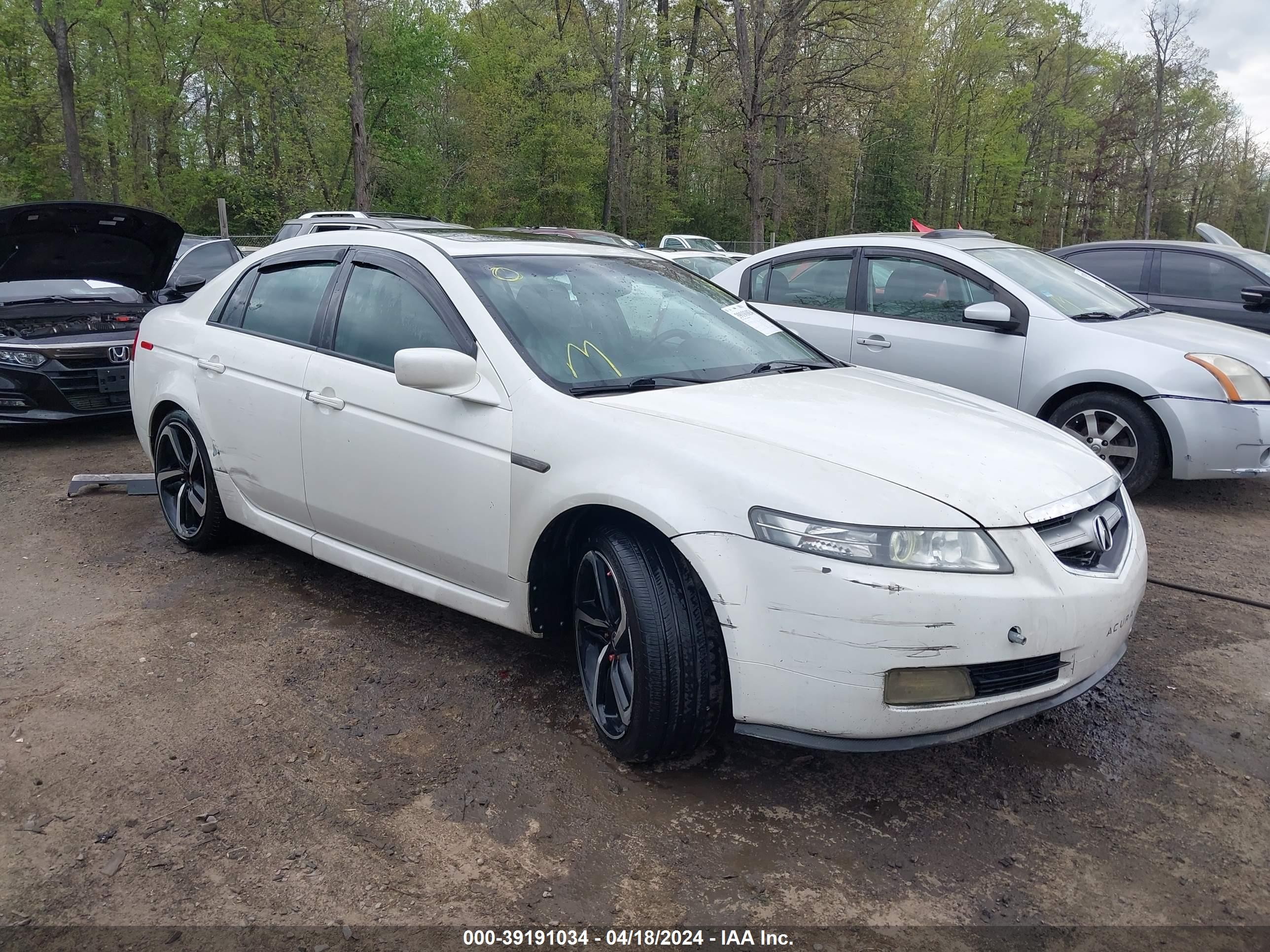 ACURA TL 2006 19uua66236a042550