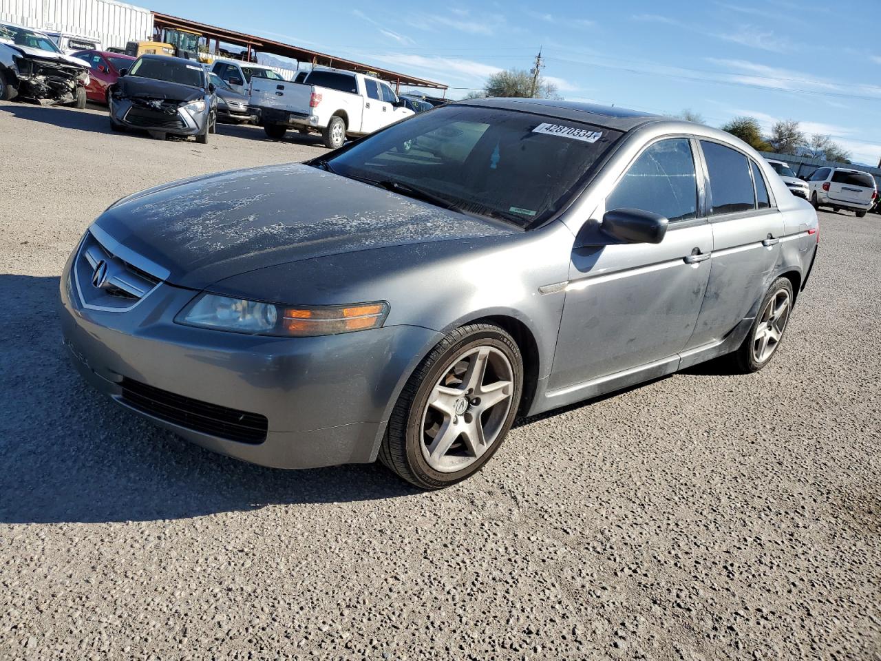 ACURA TL 2006 19uua66236a055573