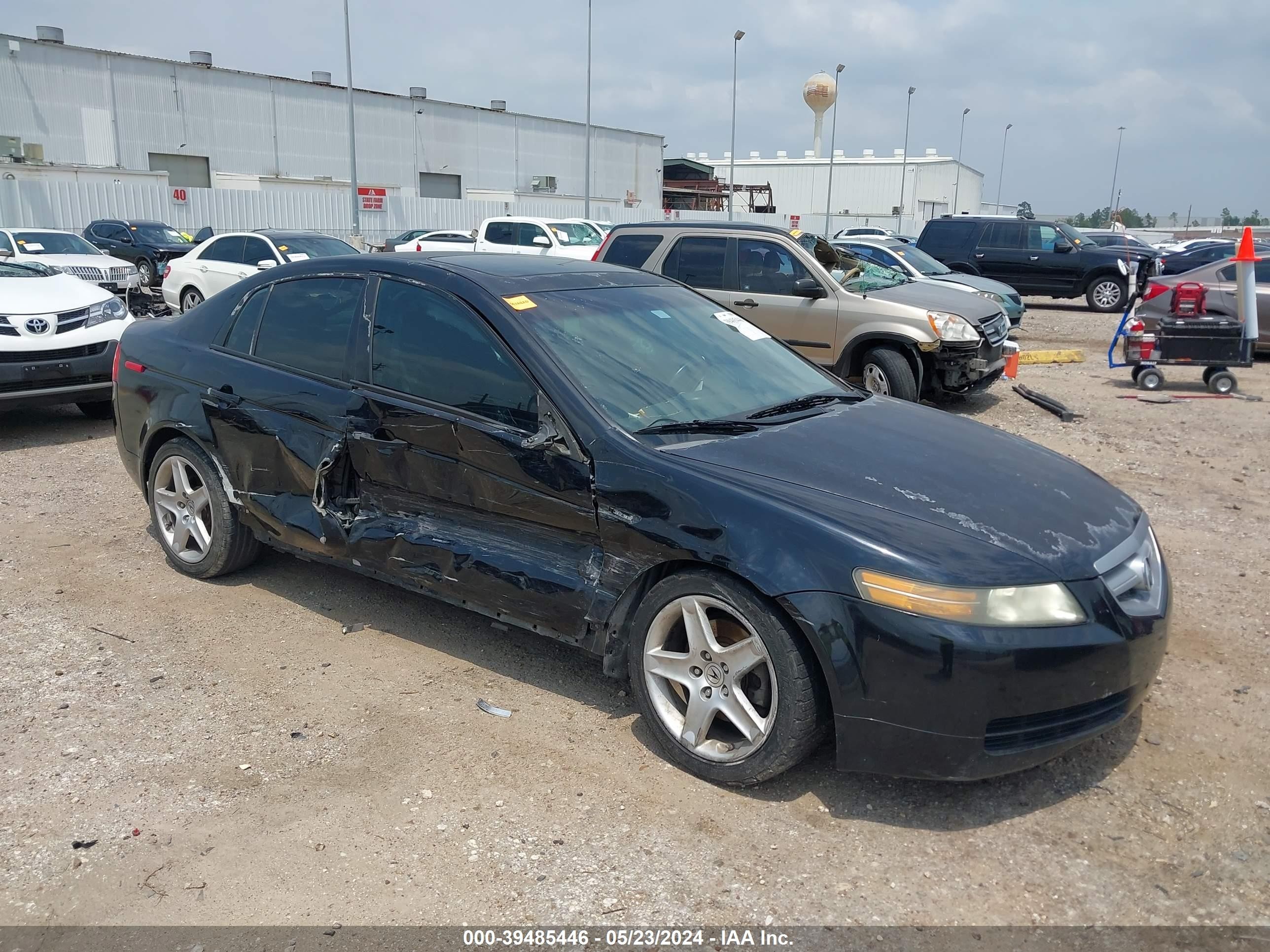 ACURA TL 2006 19uua66236a056447