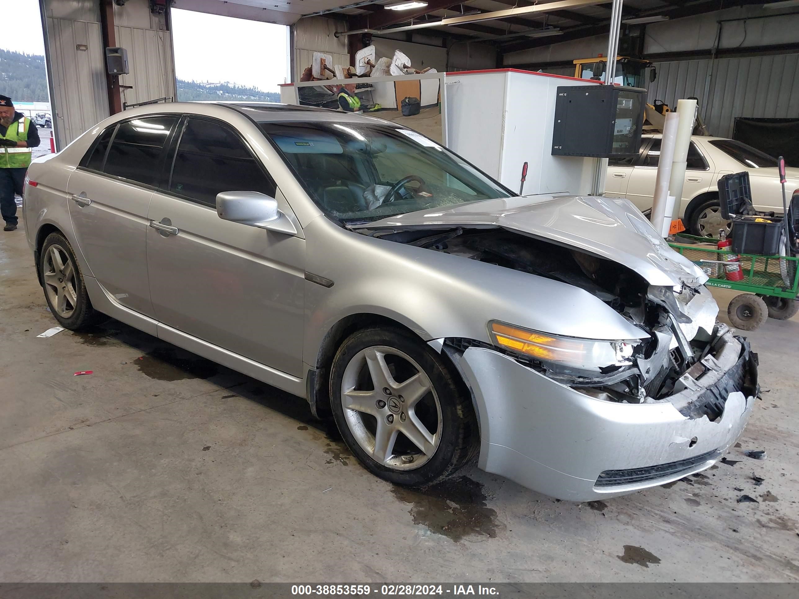 ACURA TL 2006 19uua66236a064239