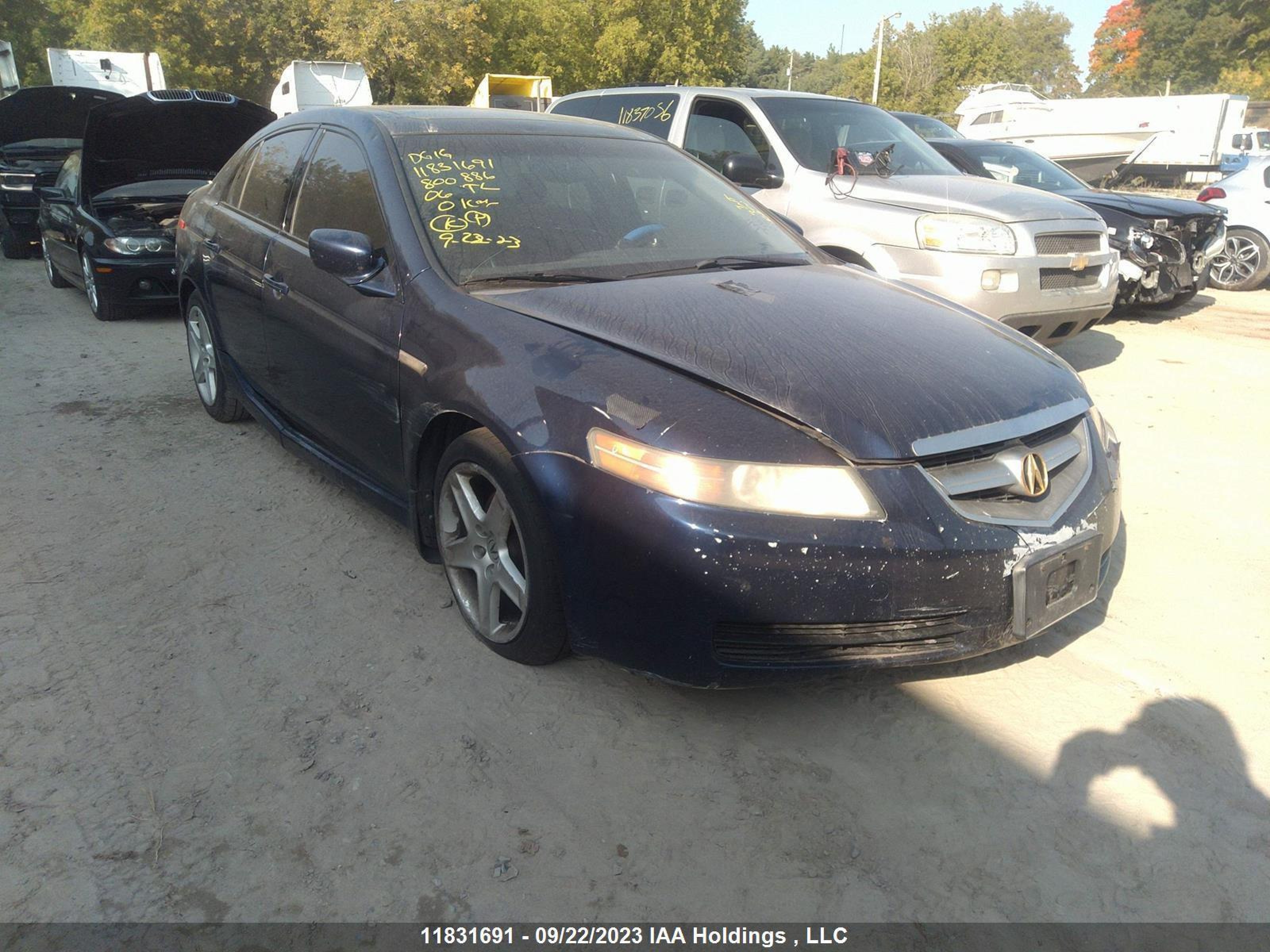 ACURA TL 2006 19uua66236a800886