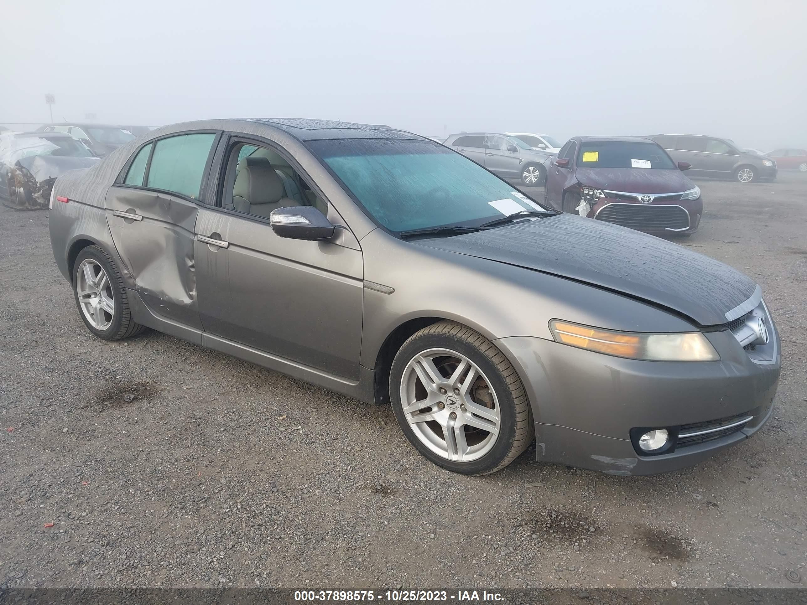 ACURA TL 2008 19uua66238a010152